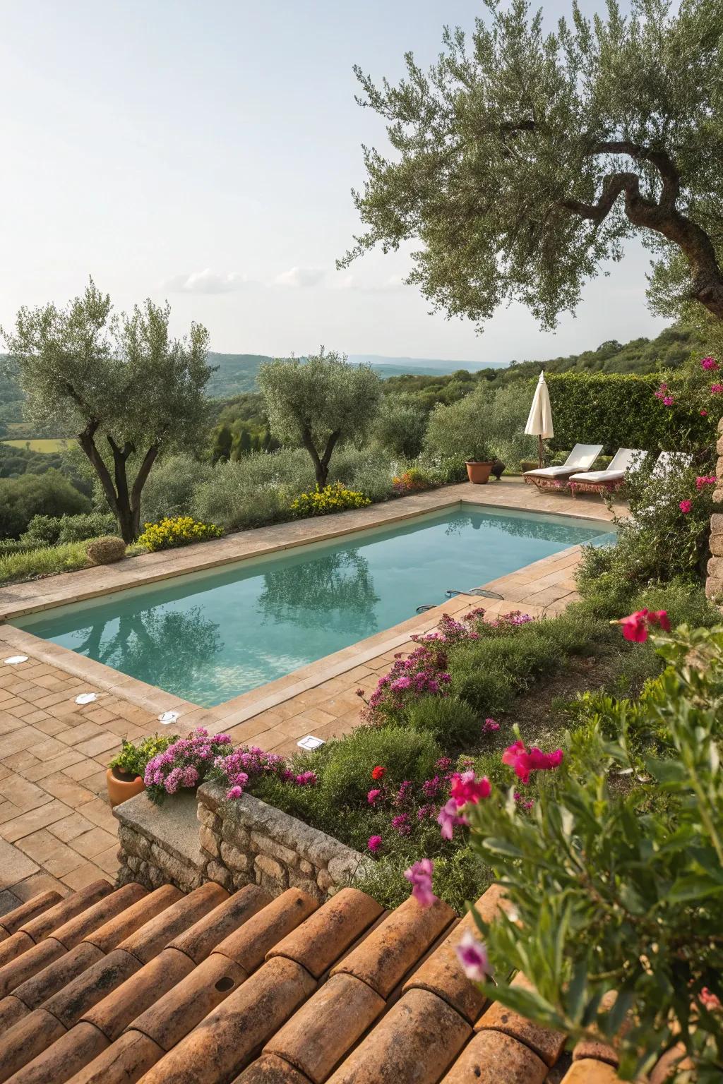 A pool pond featuring a Mediterranean-inspired design.