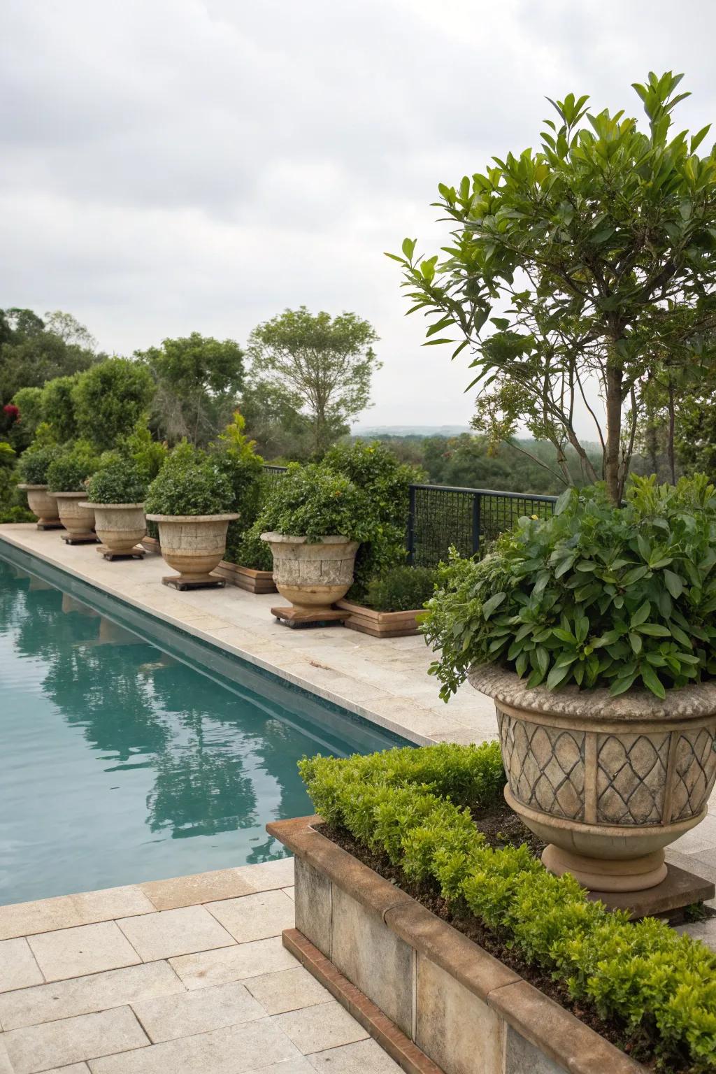 Potted flora offer flexible and movable privacy.