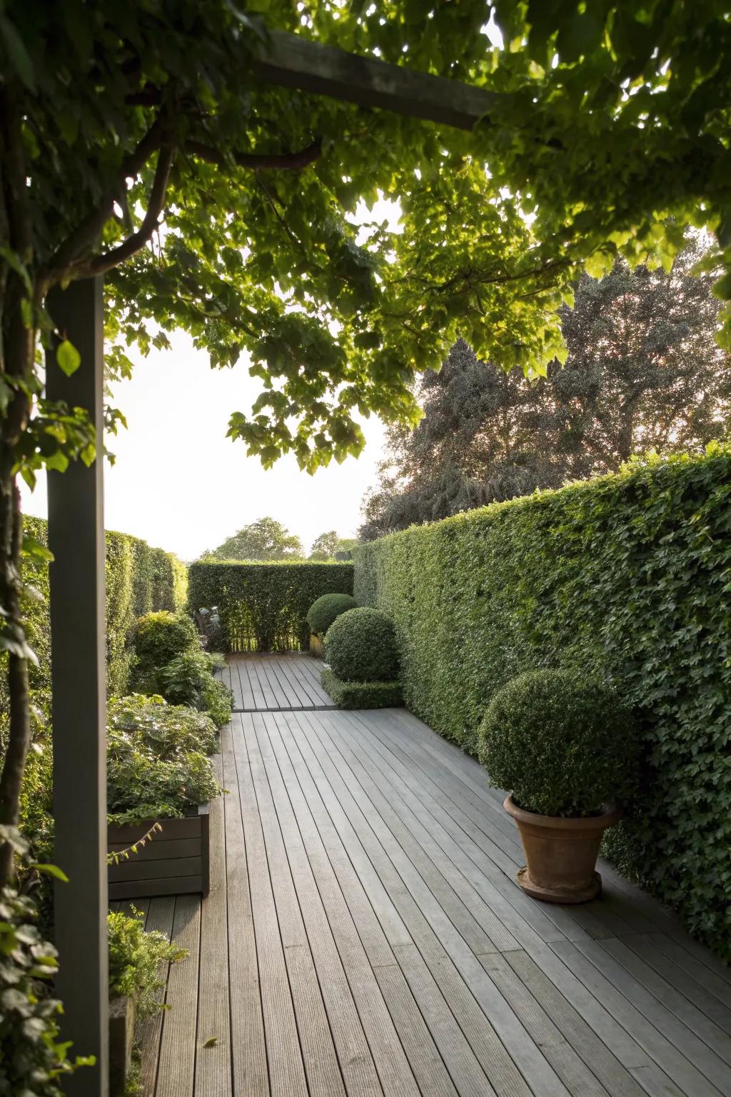 Hedge walls provide natural and eco-friendly shade.