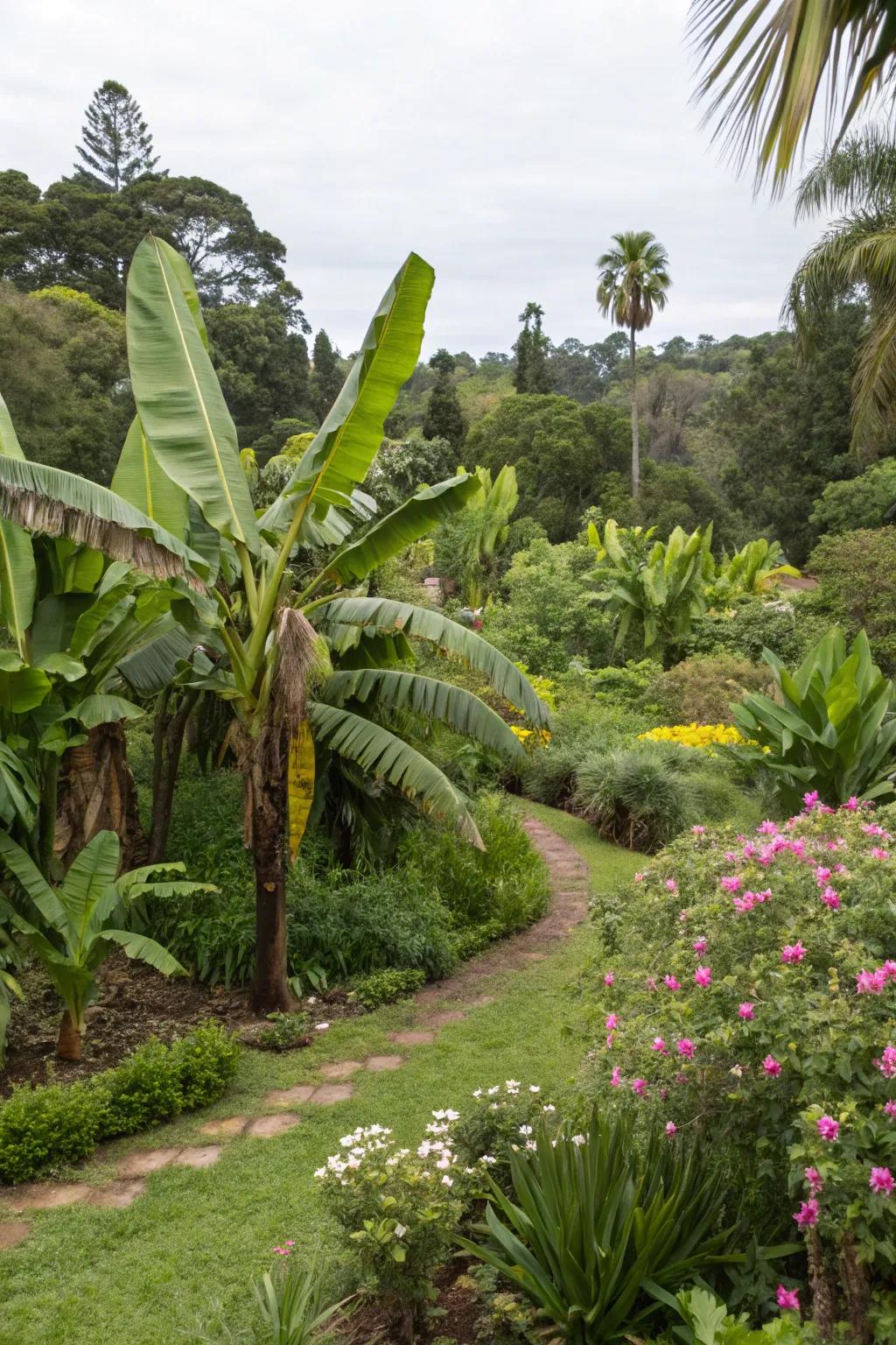 Invite wildlife into your garden with tropical fruit trees and nectar-rich plants.