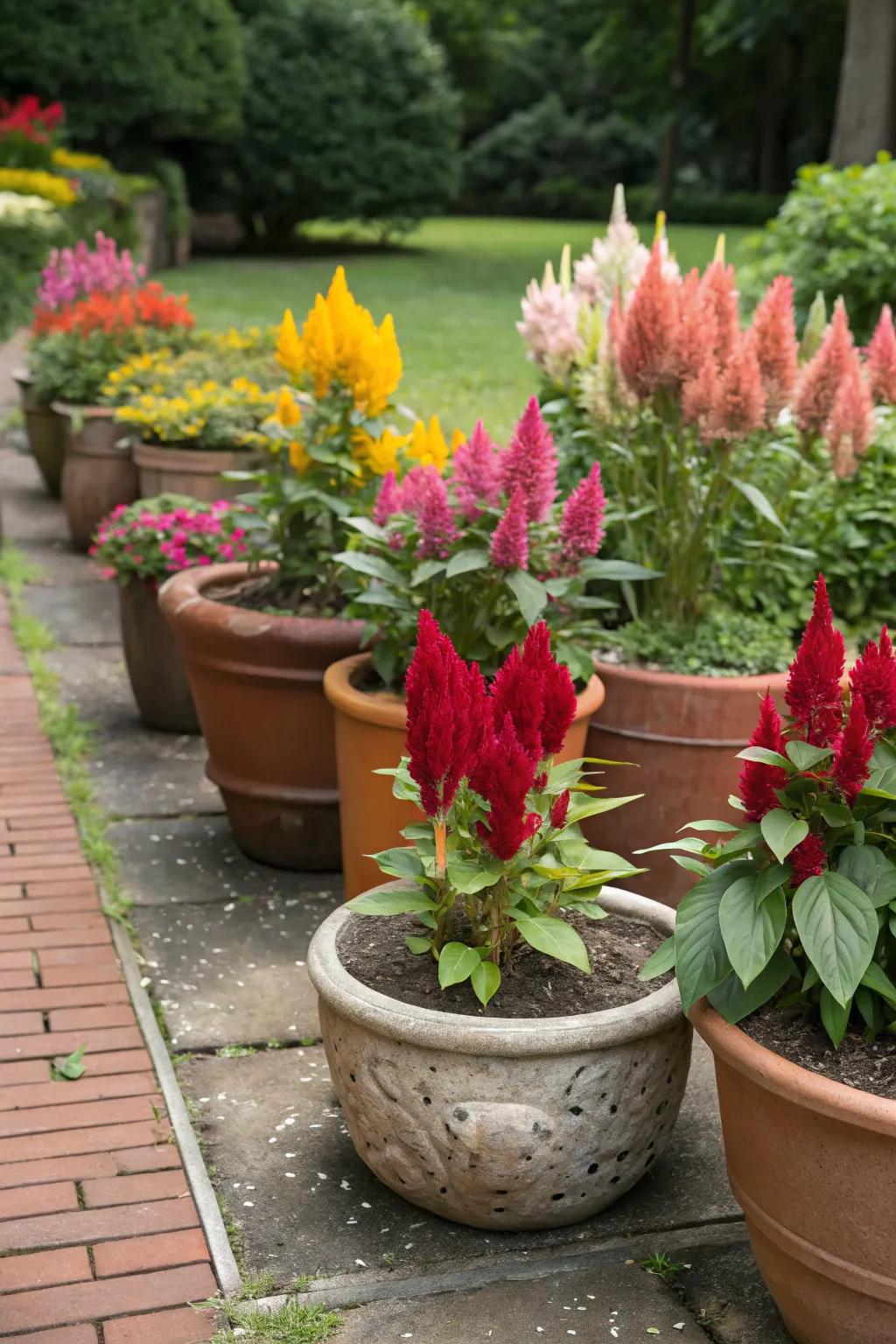 An eclectic integration of containers infuses personality into Featherbloom presentations.
