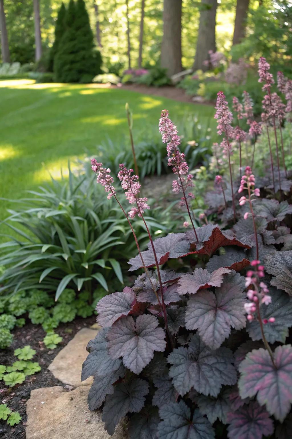 Huecheras paired with dark-leafed plants build an impressive garden presentation.