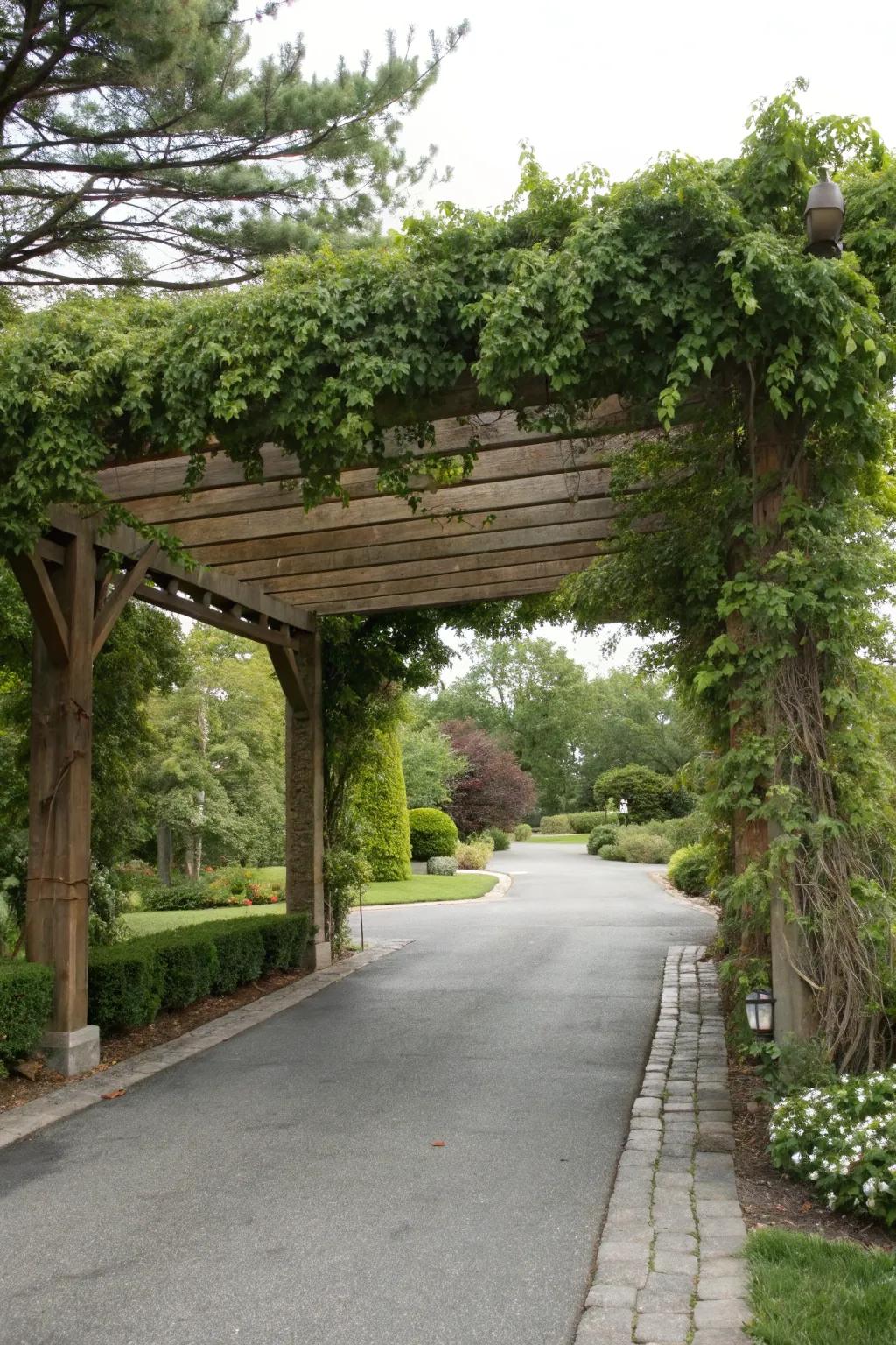 A canopy adds structural interest and elegance to this entry.