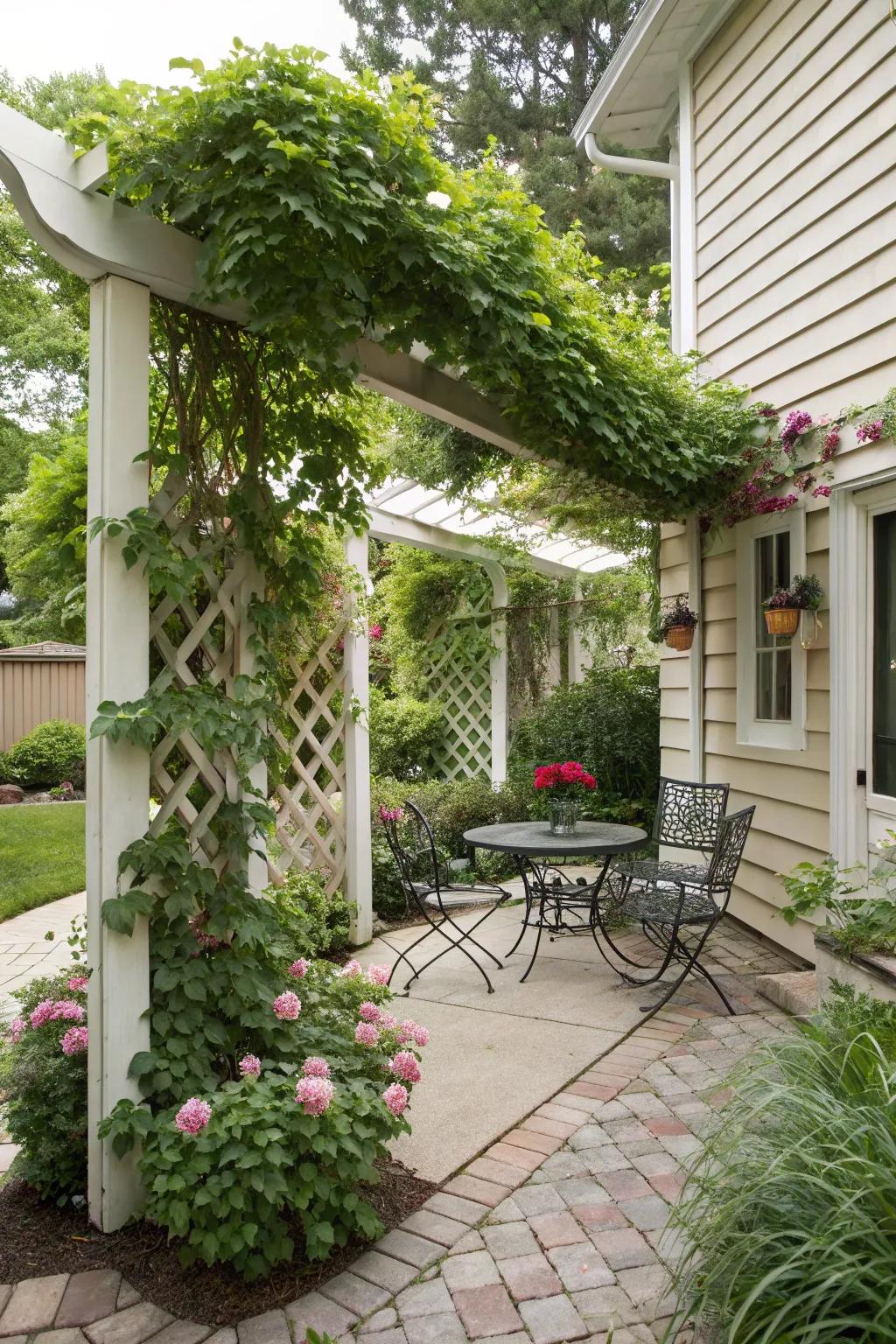Trellises offer both privacy and a hint of vegetation.