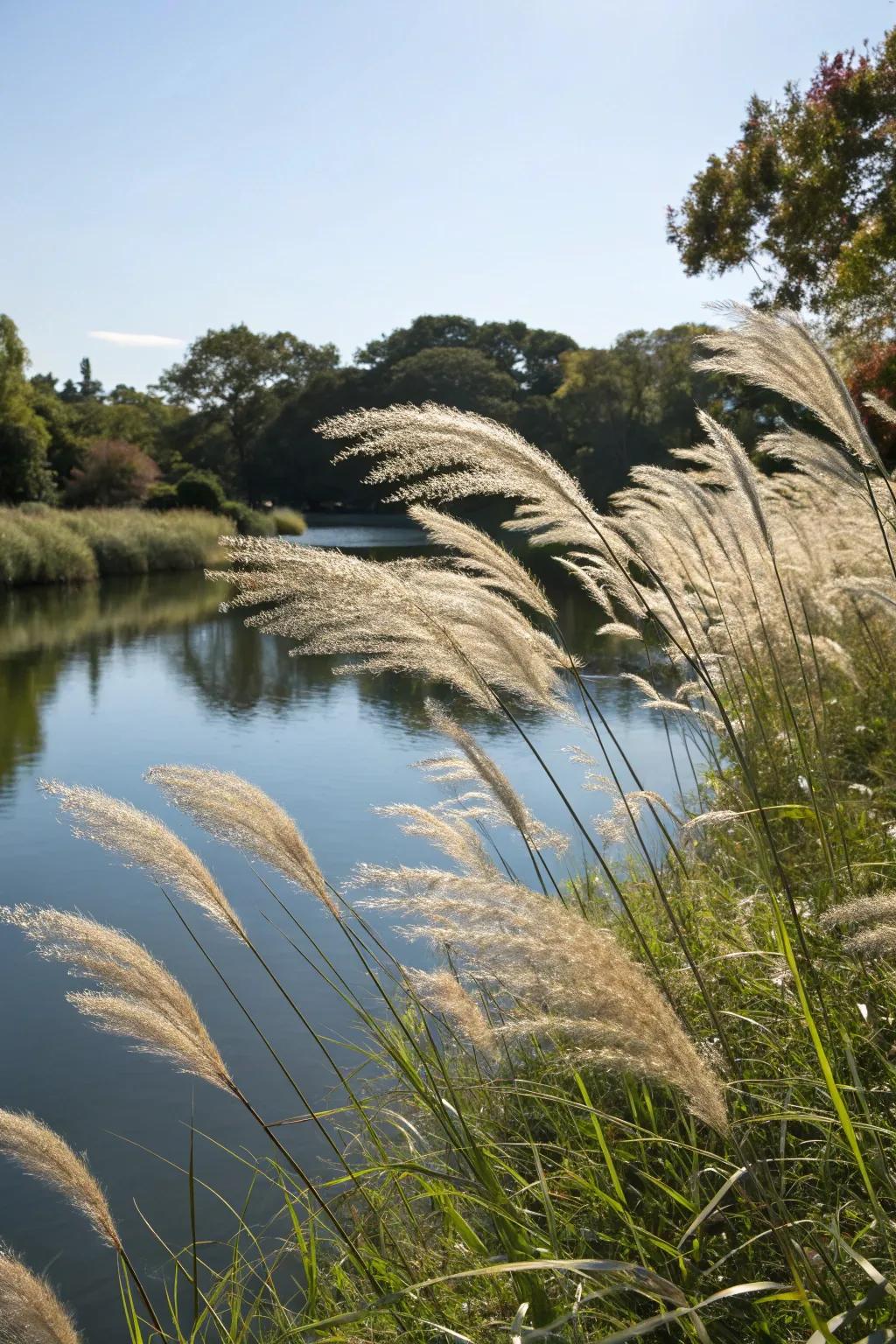 Ornamental grasses appending texture and fluidity to a pond setting.