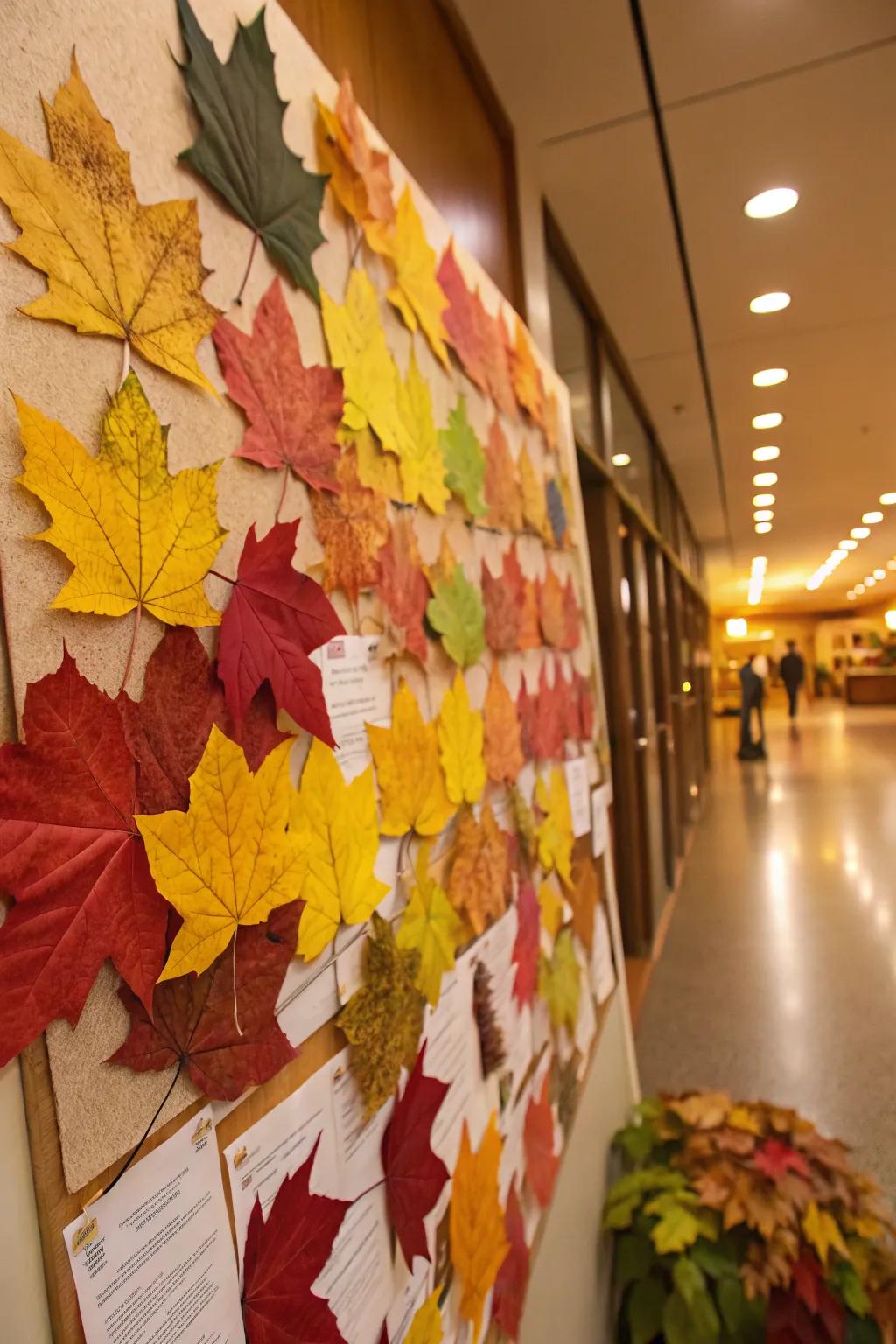 A nature-inspired fall bulletin board with a spectrum of seasonal colors.
