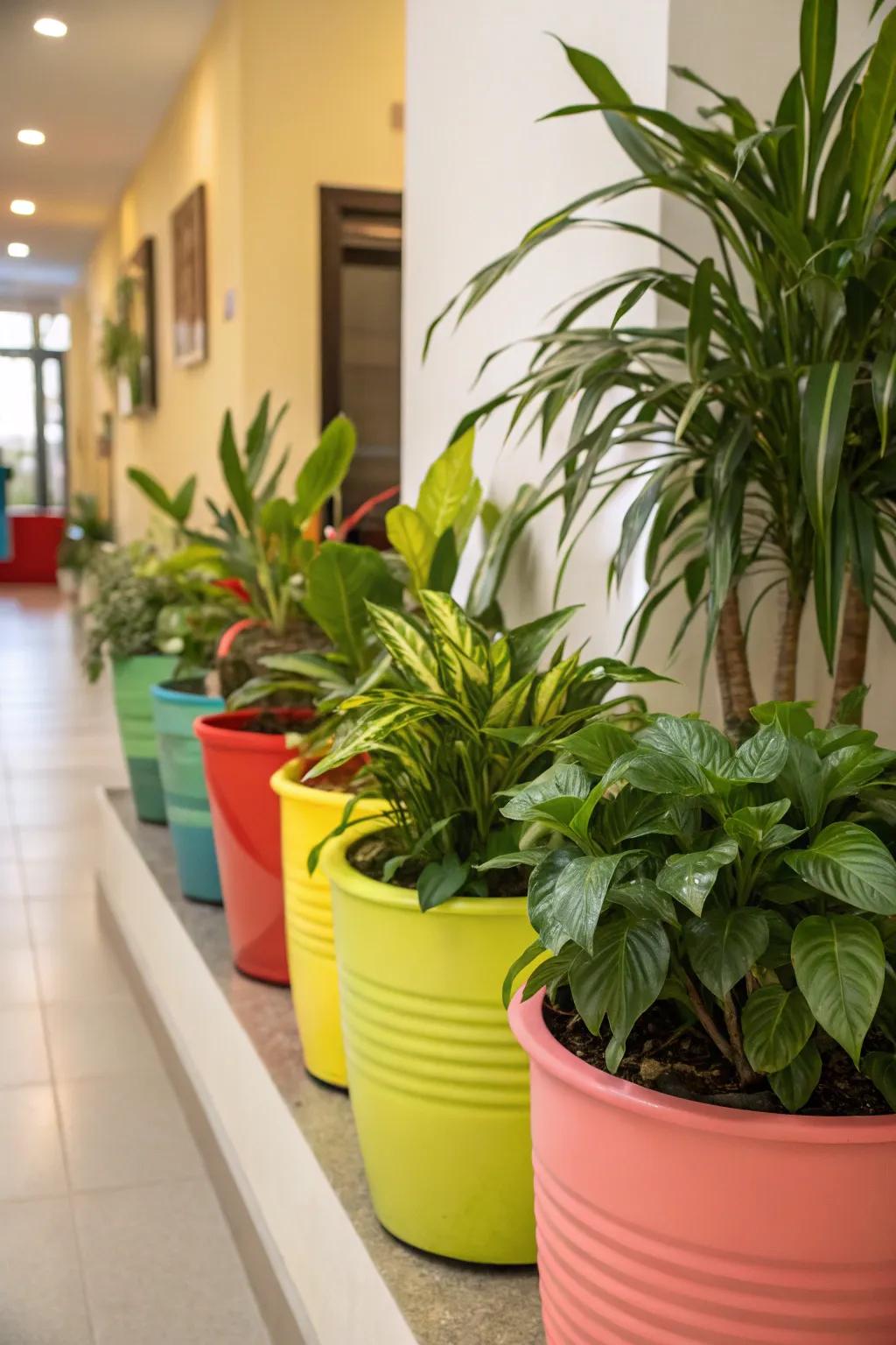 Vibrant containers enliven any corner.