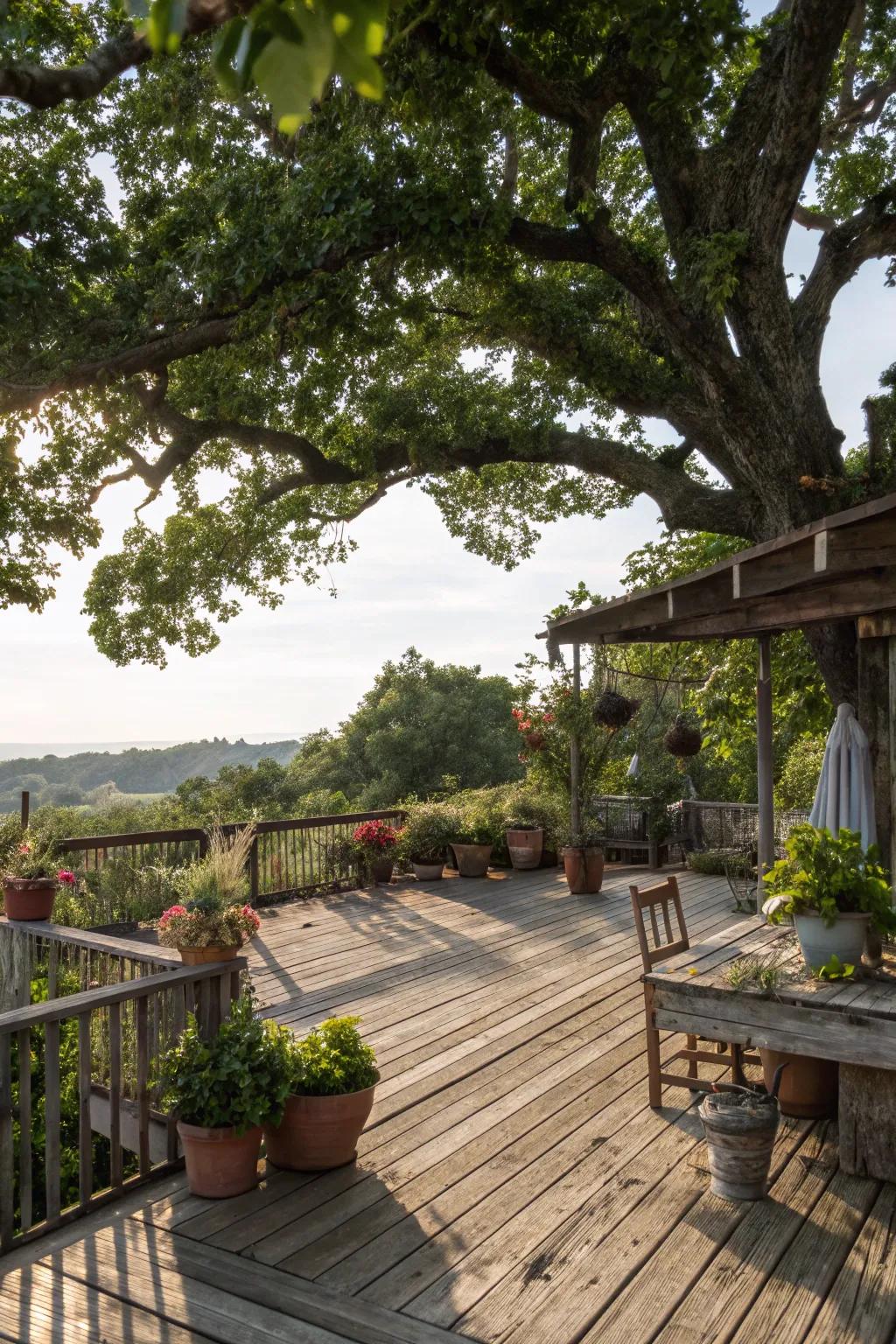 A tree canopy provides shade and a natural setting to this deck.