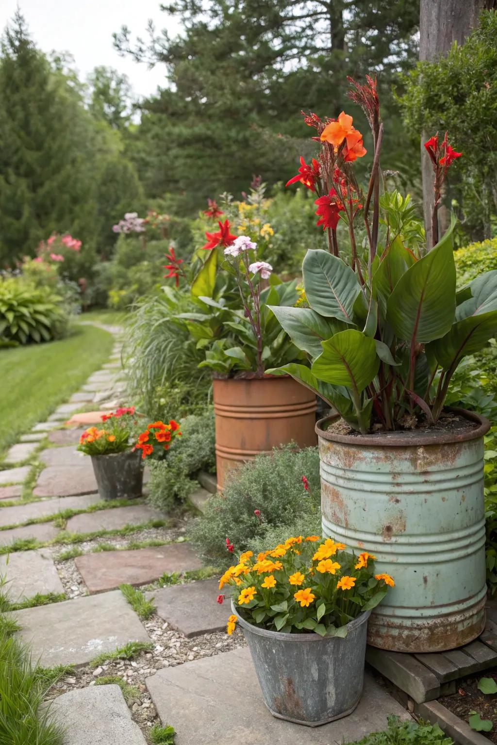 Eco-friendly flair with canna lilies in repurposed containers.