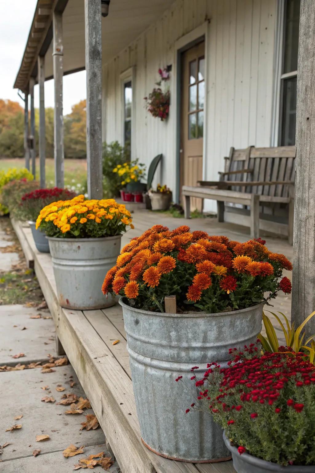 Electroplated planters furnish a rustic accent and highlight autumn's vibrant hues.