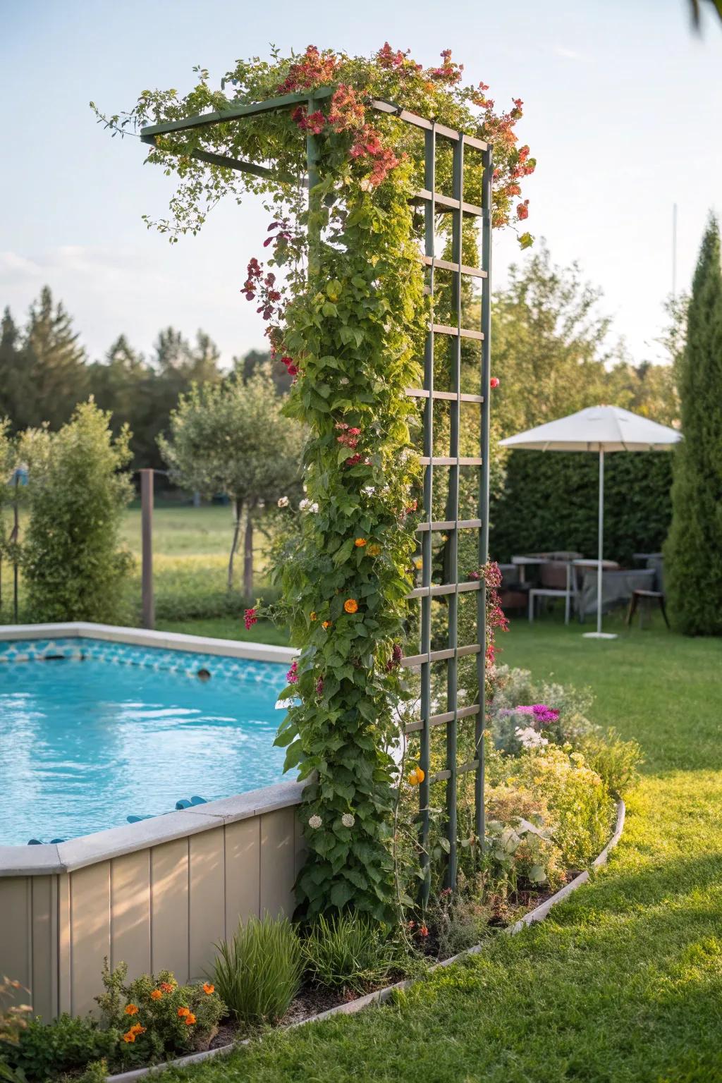A vertical garden trellis provides privacy and a lush atmosphere.