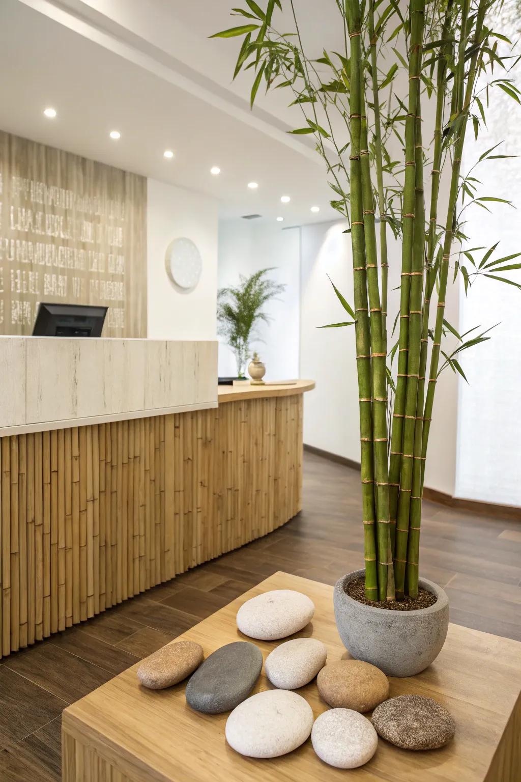 A peaceful reception area.