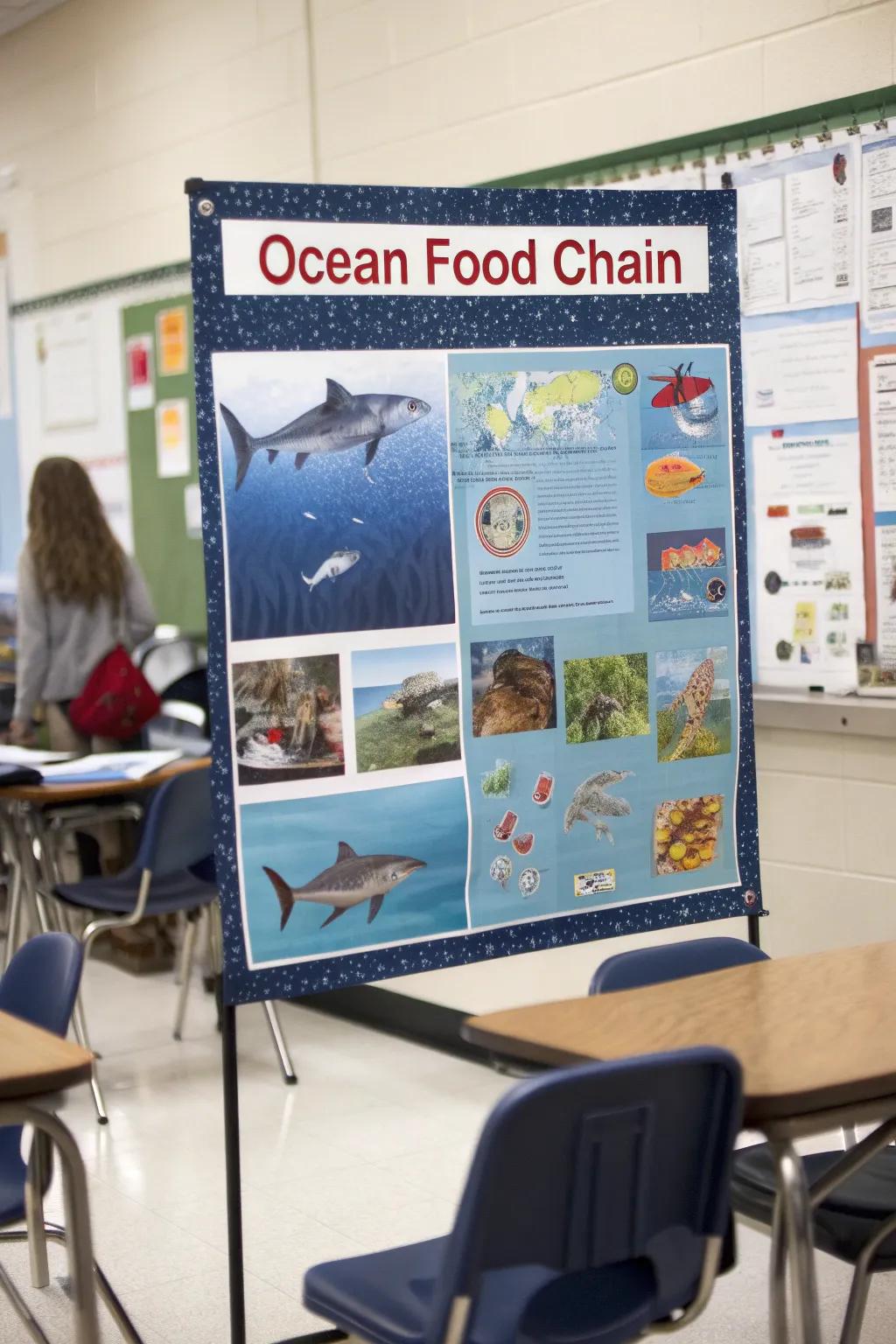 Comprehend the crucial function of sharks within marine ecosystems.