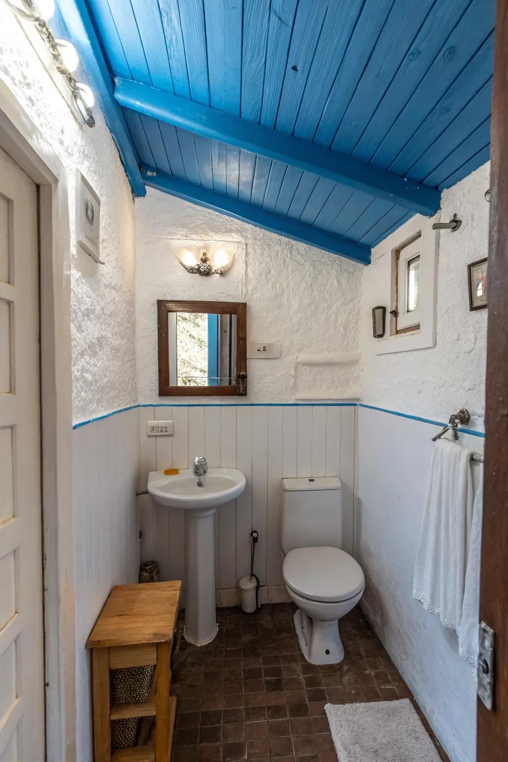 A blue overhead adds a surprising and expansive element to the bathroom design.