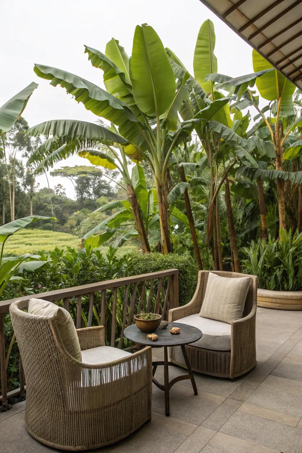 Host gatherings in a tropical entertainment area with tropical fruit trees.