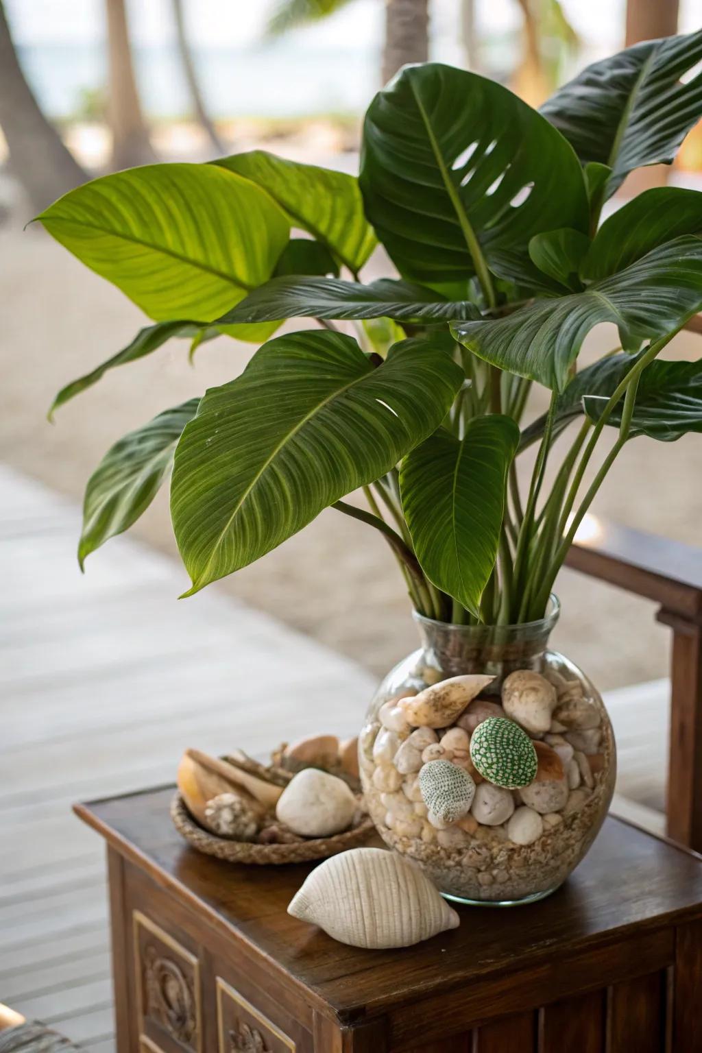 Cultivate a lush, coastal atmosphere with exotic foliage and shells.