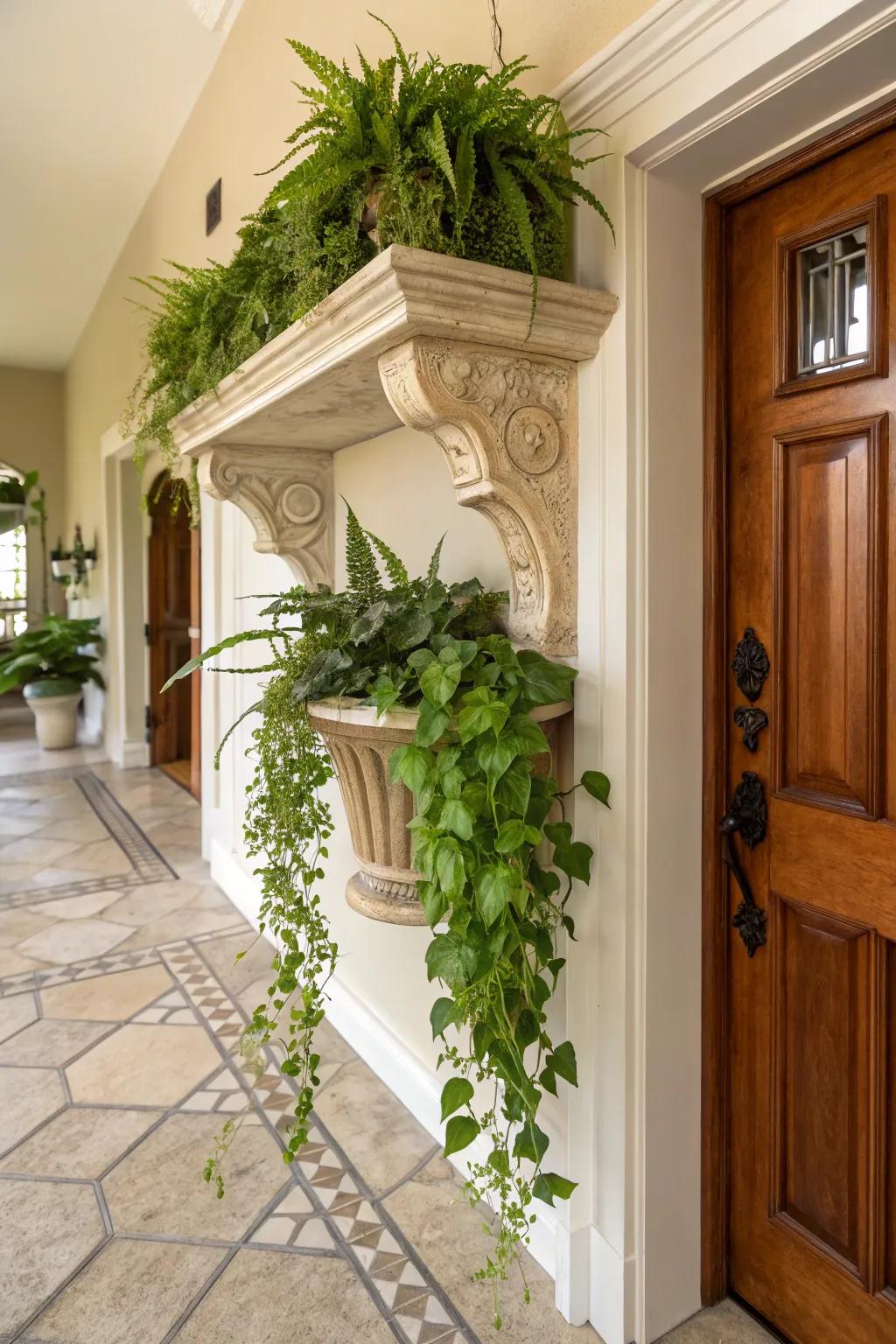 Shelves with supports fabricate a vibrant entryway through the integration of verdure.