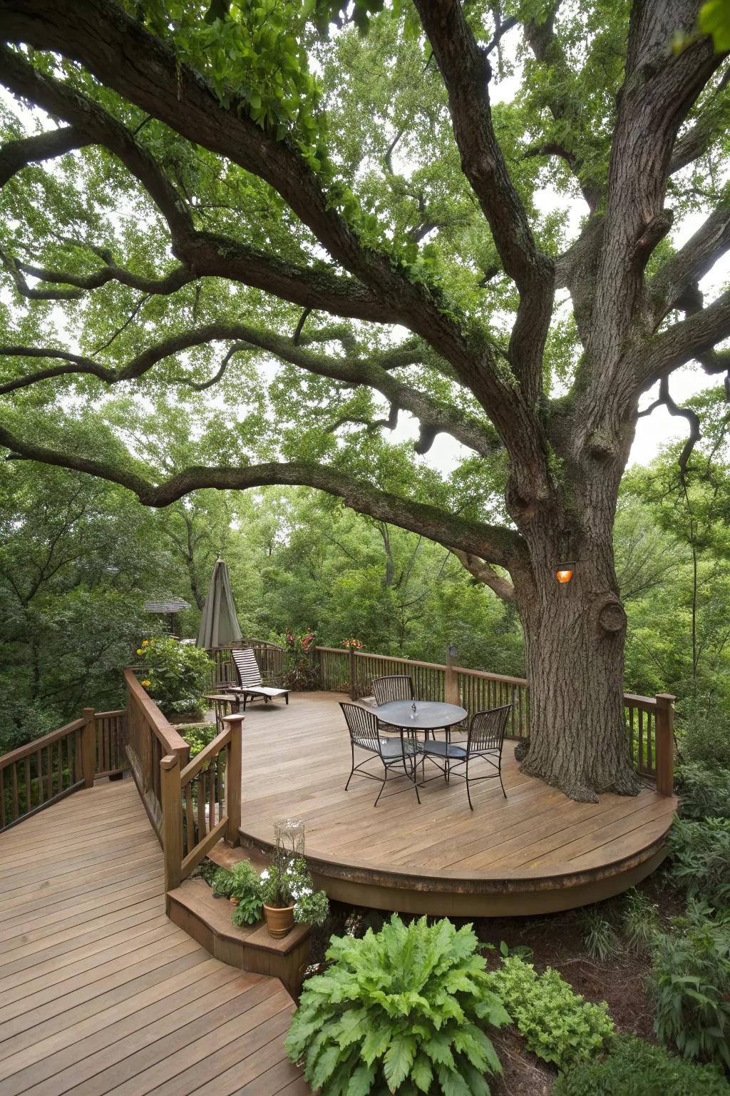 A raised deck around a tree combines nature with living space.