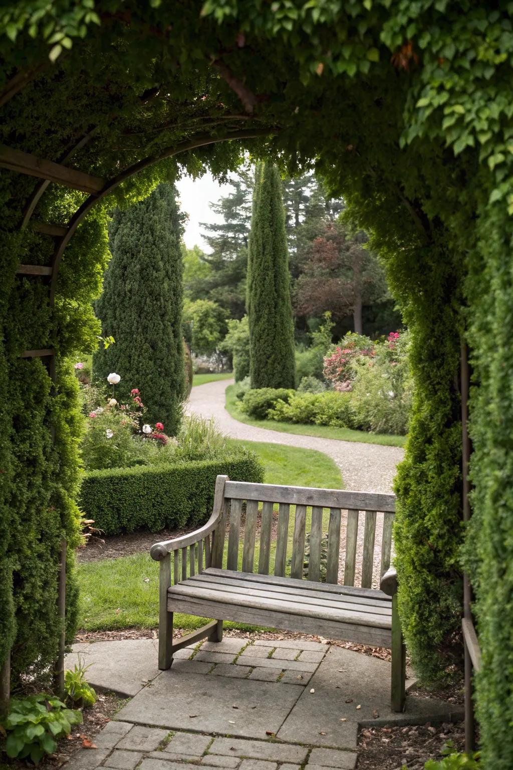 Arborvitae enclose your garden attributes with organic sophistication.