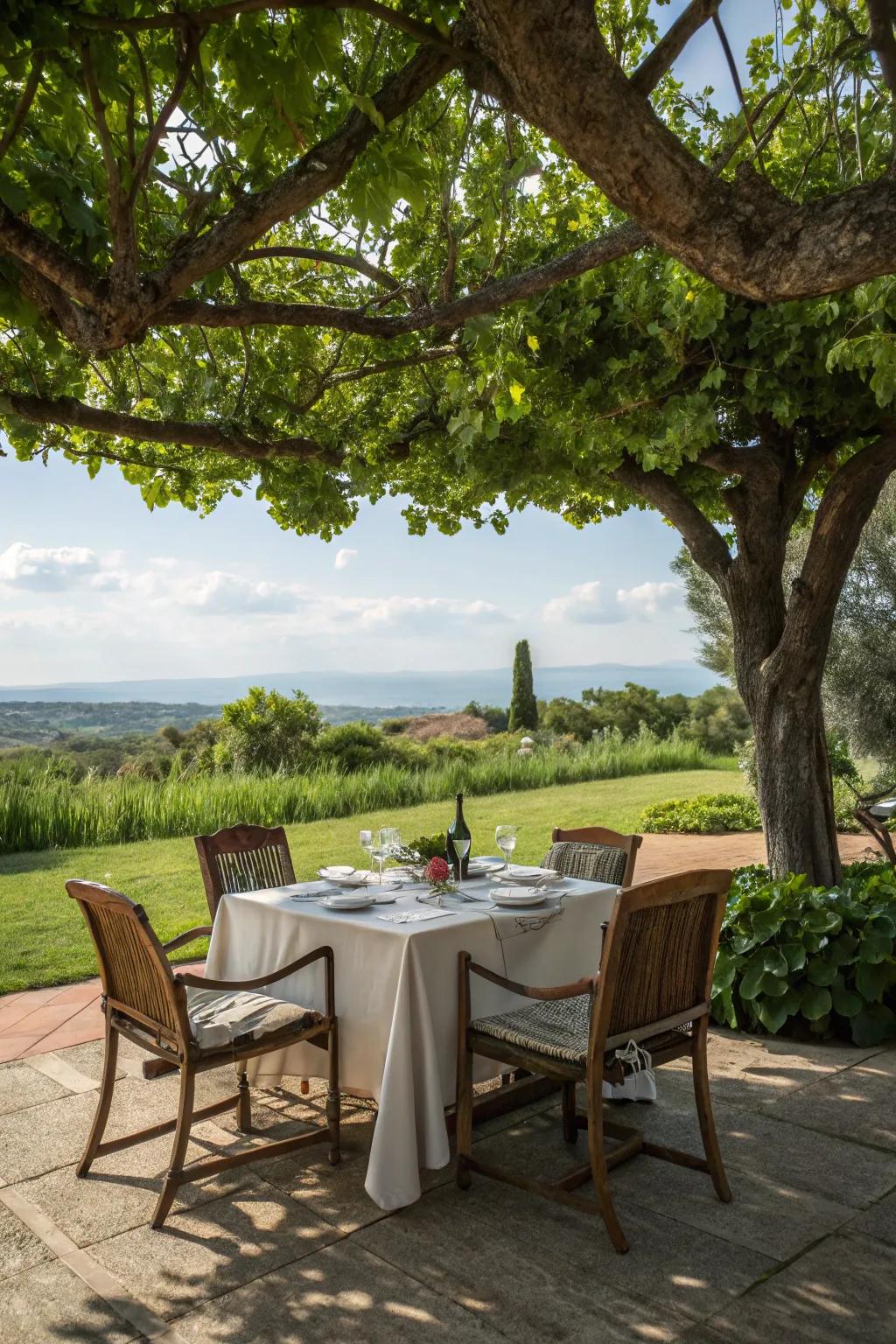 An open-air eating spot proffers a bewitching al fresco encounter.