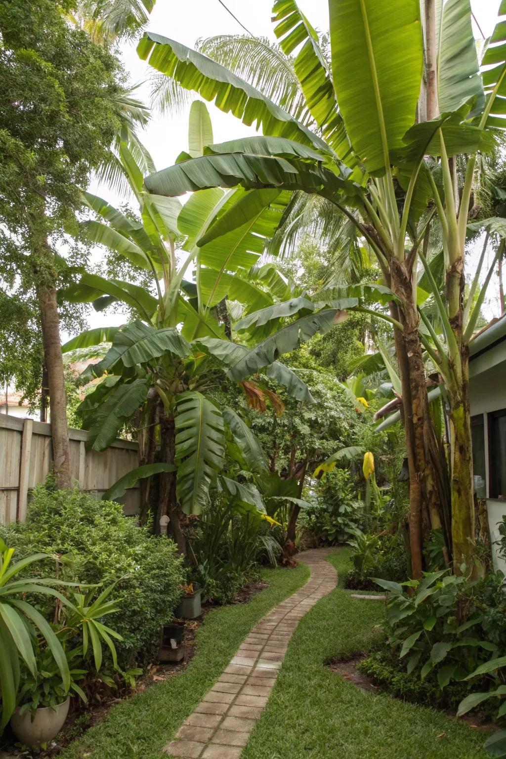 Immerse yourself in a miniature tropical forest with diverse tropical fruit trees.