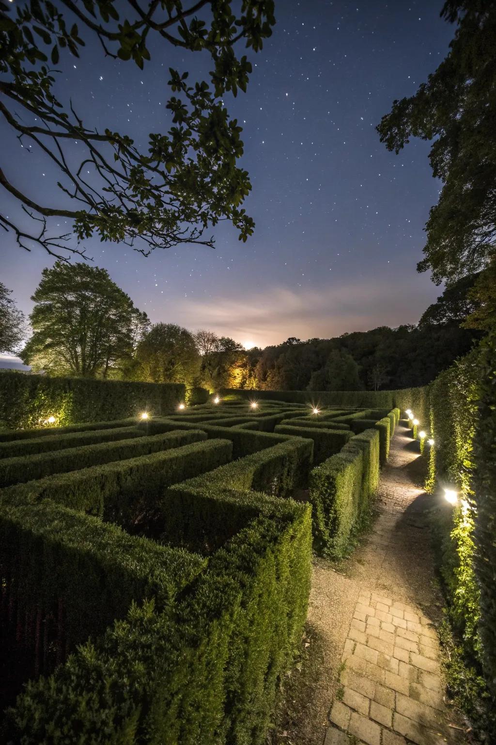 An enigmatic lamp maze creating a magical nighttime glow.