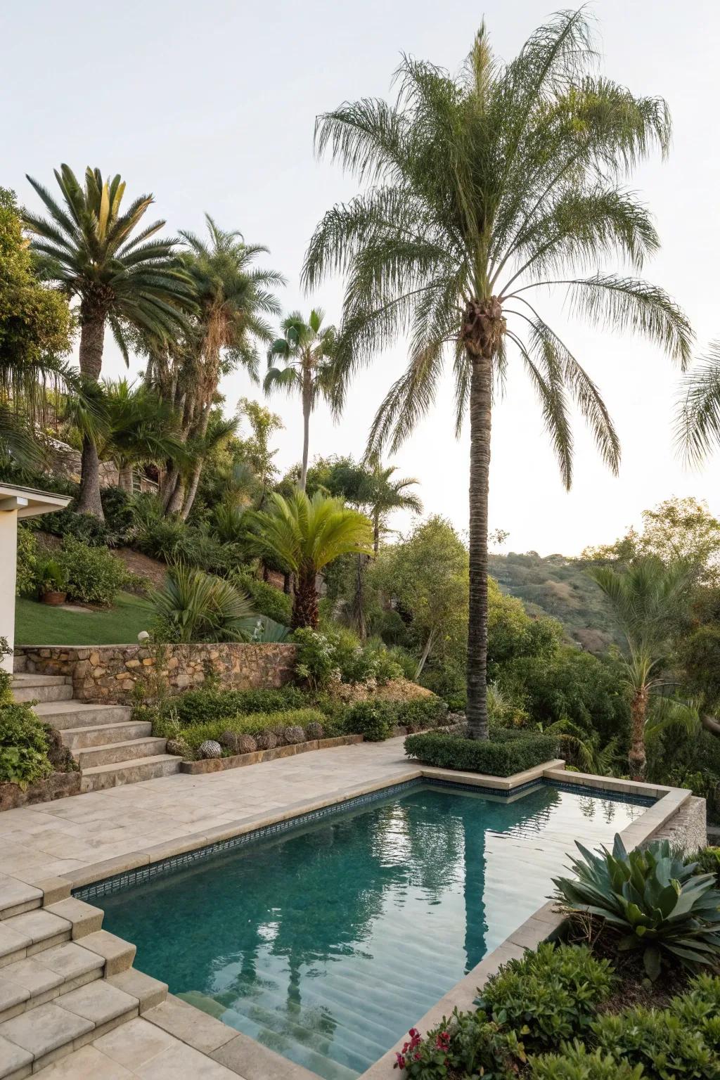 Staggered greenery with palms crafts a rich, tropical jungle ambiance.