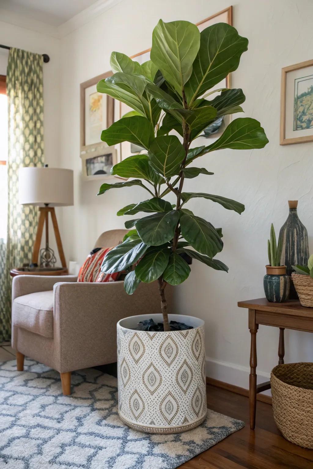 An eye-catching plant fills a corner with life, turning it into a vibrant point of interest.