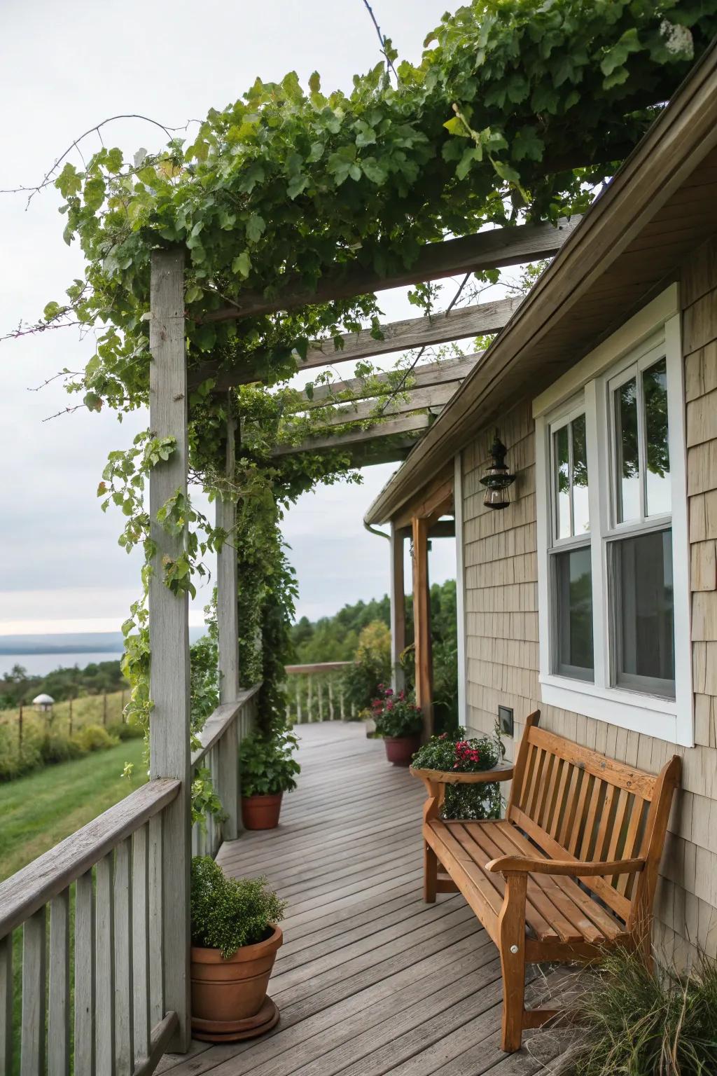 An arbor creates a remarkable display of sun and shadow.