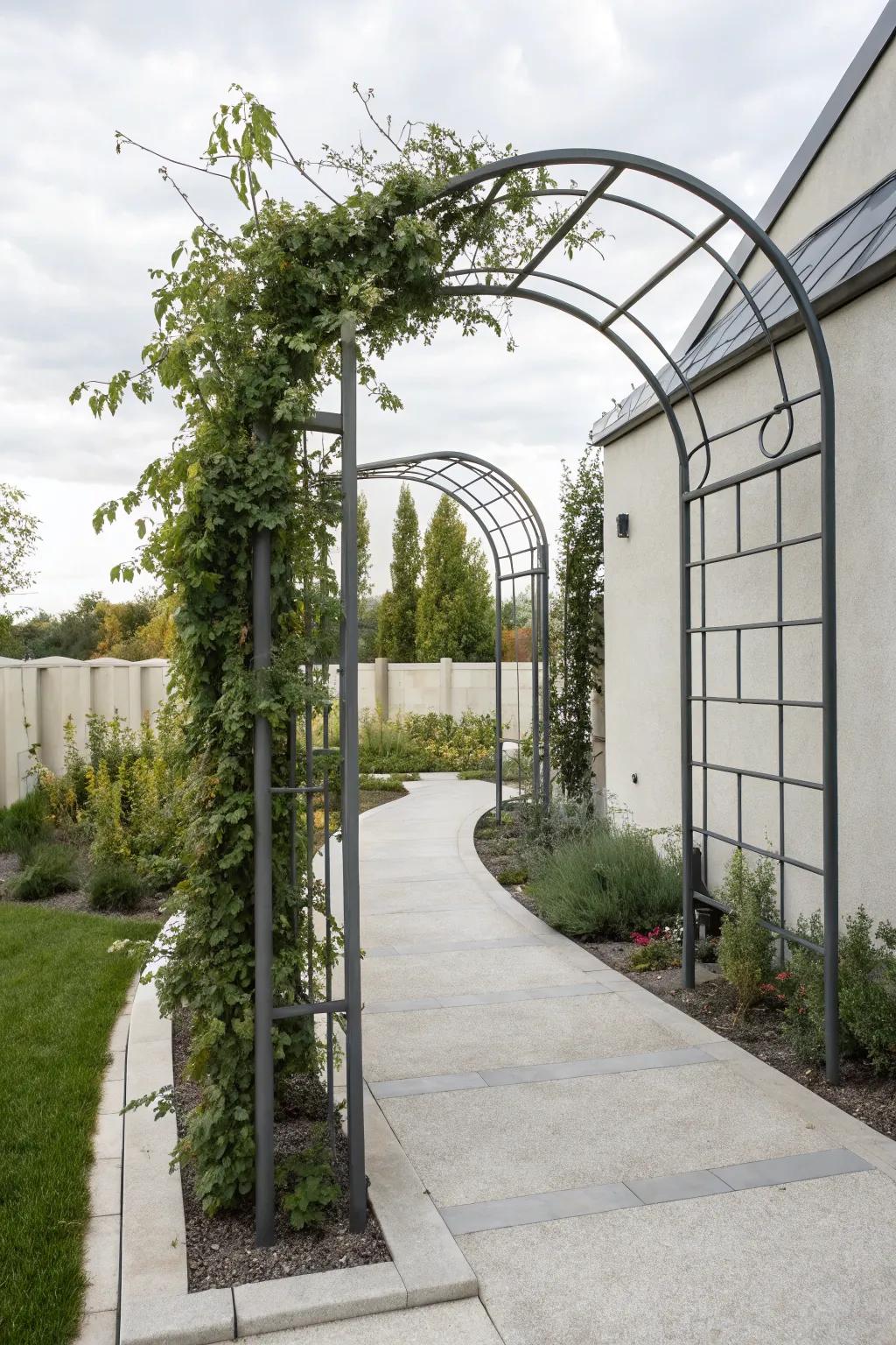 A modern metal arbor introduces a chic, contemporary edge to your garden.