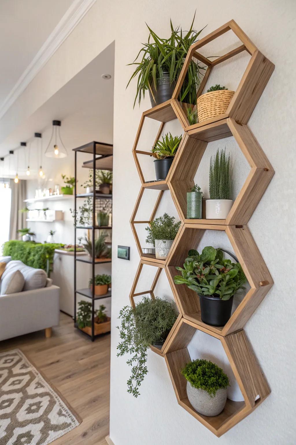 Geometric polygon shelves create a modern plant showcase.
