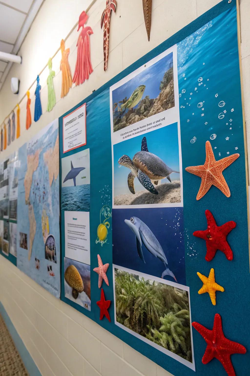 Bring marine life to the forefront with this engaging display.