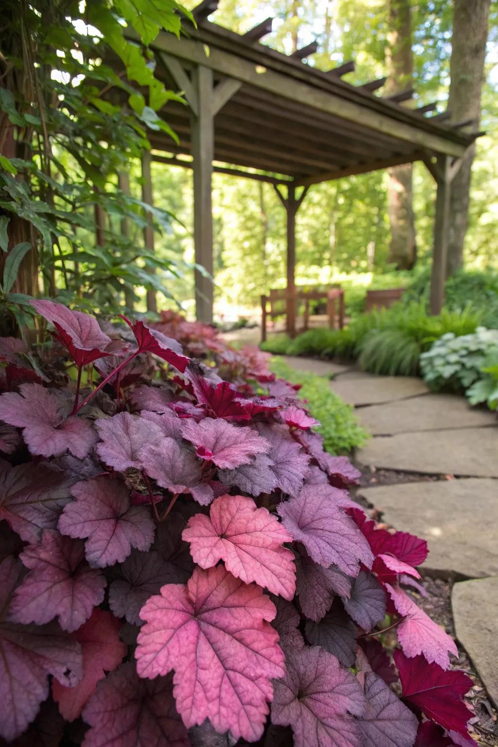 Coral bells injecting color into shaded spaces.