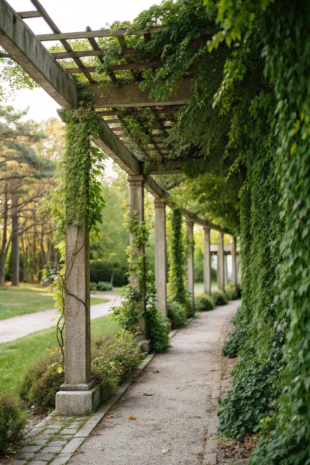 A pergola accented with a living wall adds a revitalizing dash of greenery to small patios.