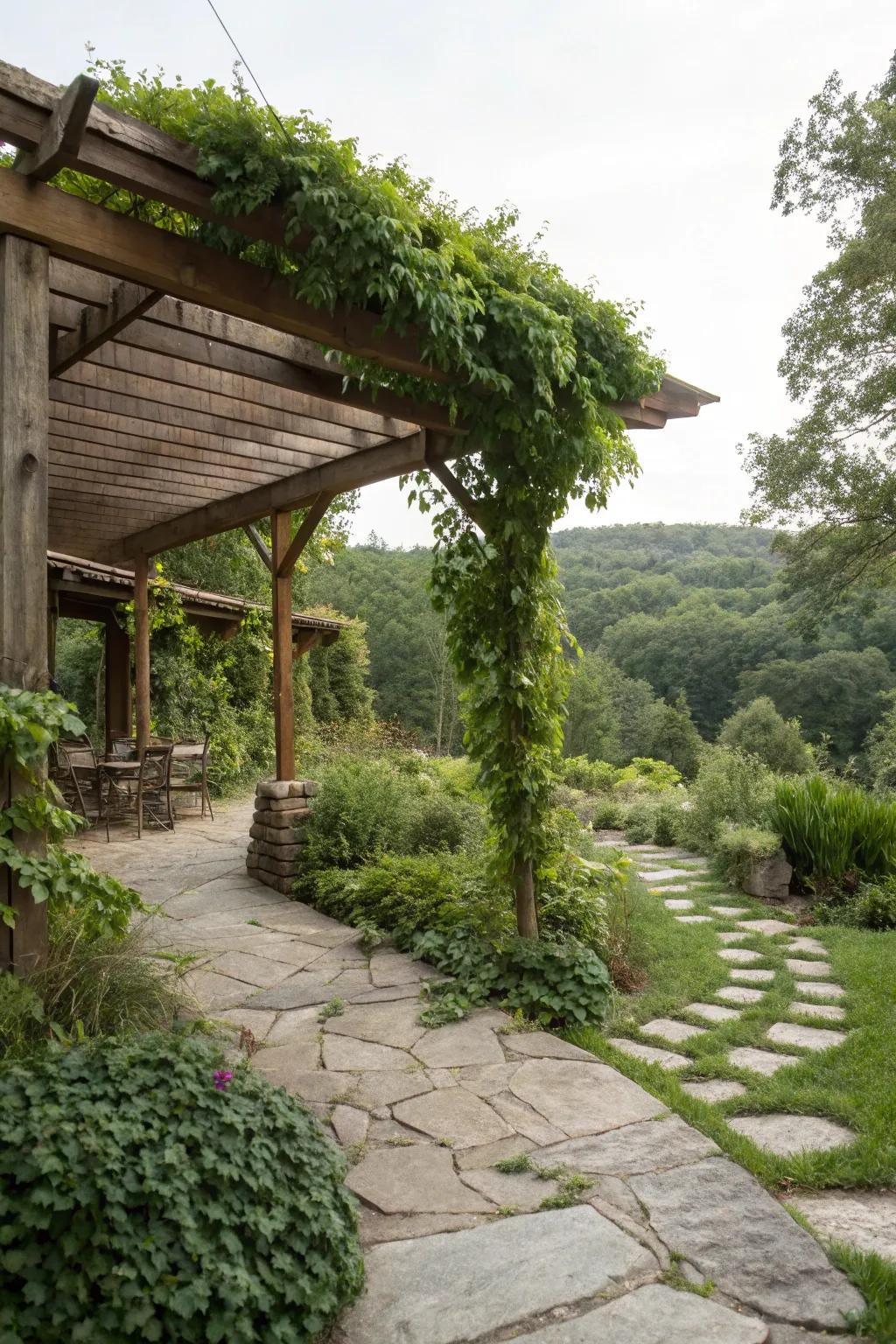 A timber patio nestled within a lush outdoor space.
