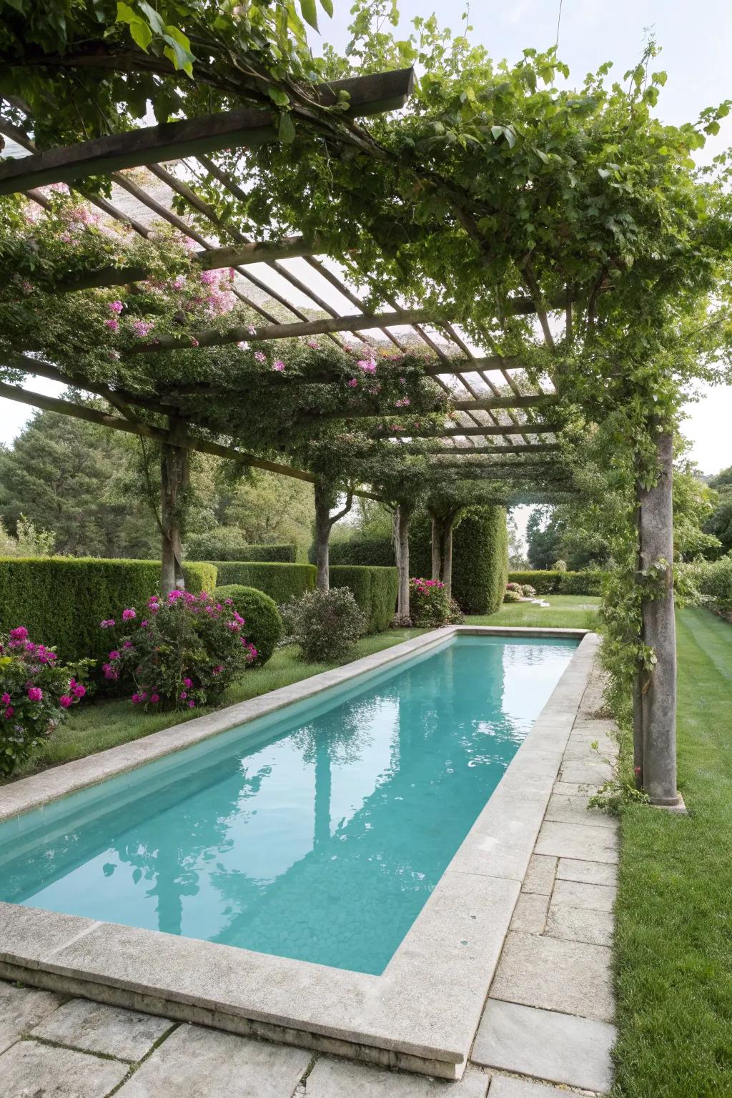 A shade structure with vines offers natural beauty and shade.