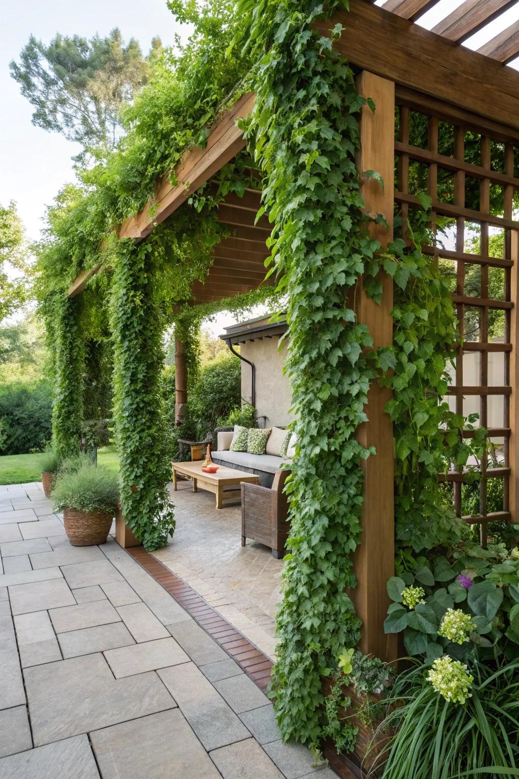 Verdant wall trellises convey exuberant verdure to any expanse.