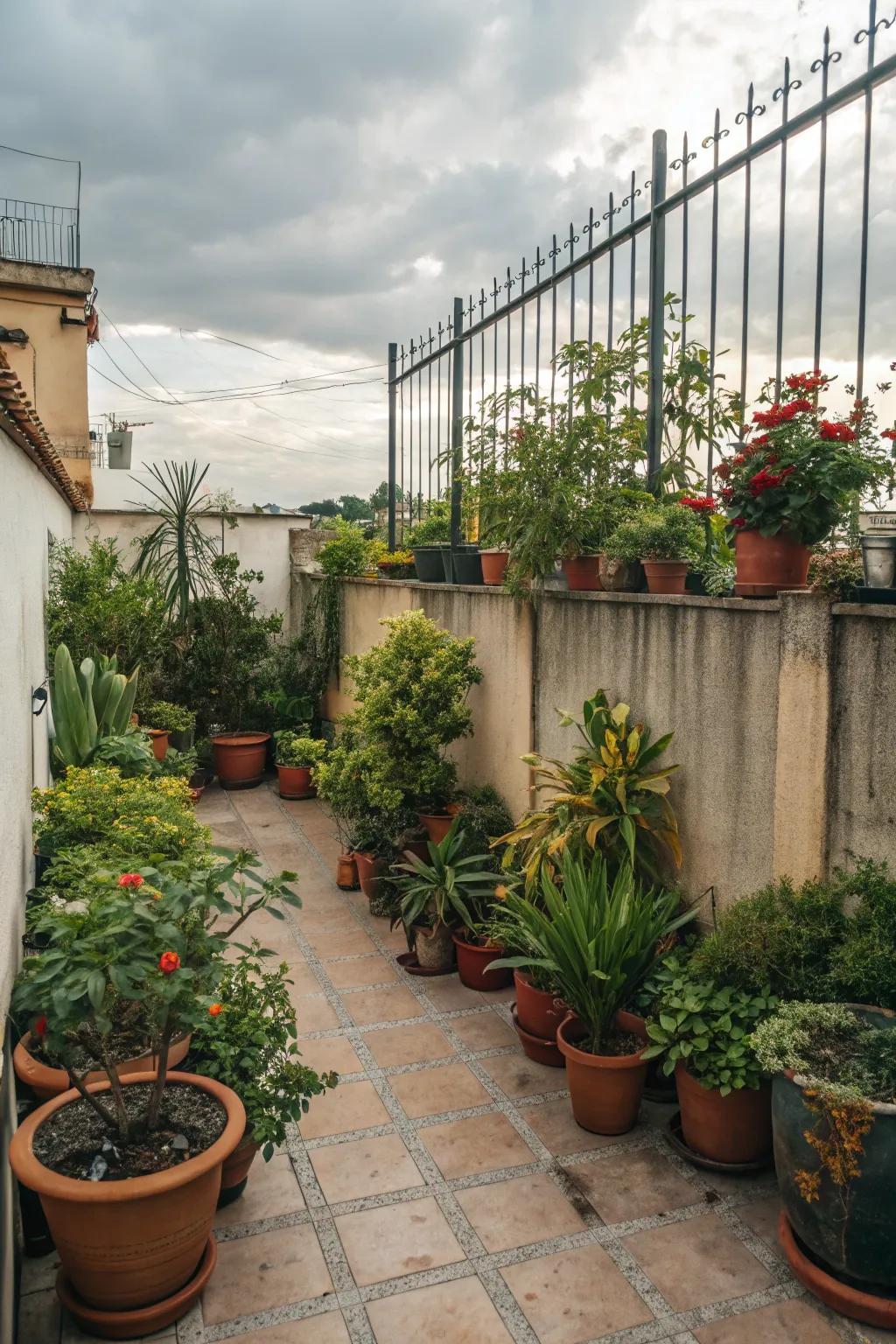Potted plants convert a patio into a verdant haven.