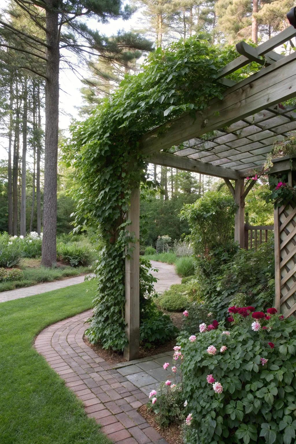 A patio covering with climbing plants offers a secluded and shaded escape.