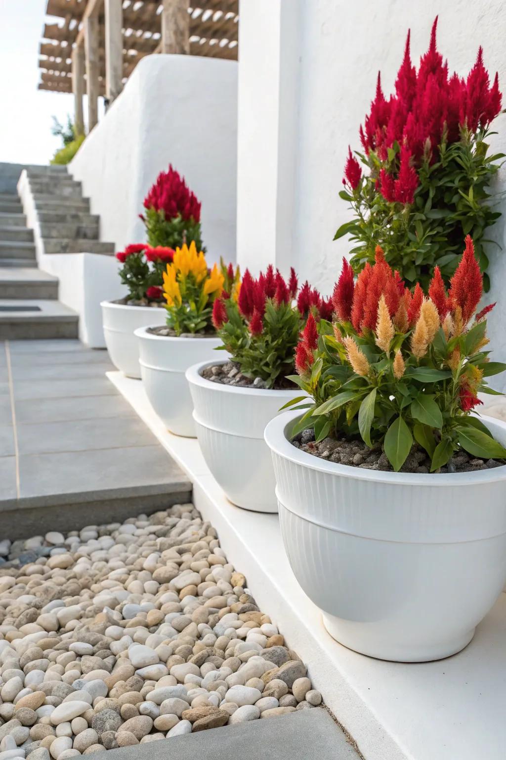 Refined alabaster vessels emphasize the vibrant pigments of Featherbloom.