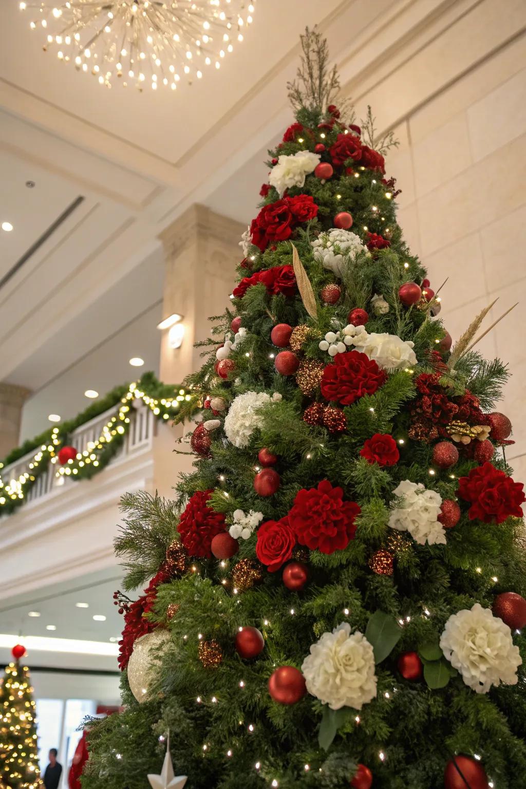 A rich blossom cluster crowns this festive tree beautifully.