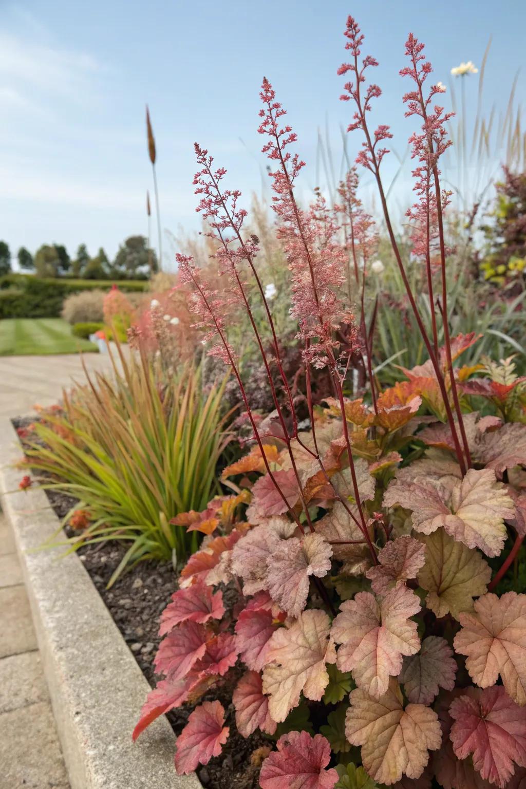 A layered flowerbed featuring huecheras enriches the scenery with depth and scale.