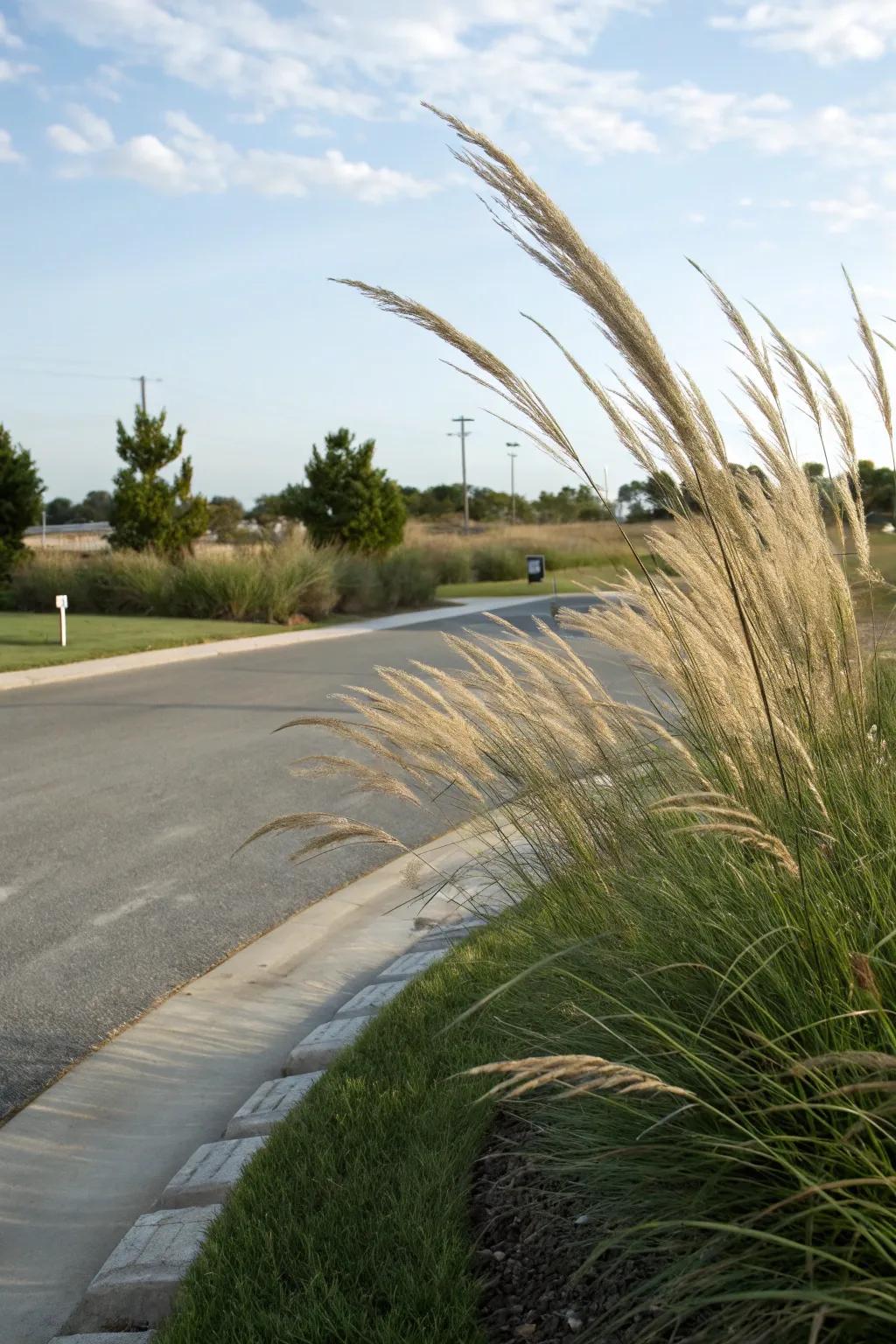 Dynamic ornamental grasses enhance a driveway corner with texture.