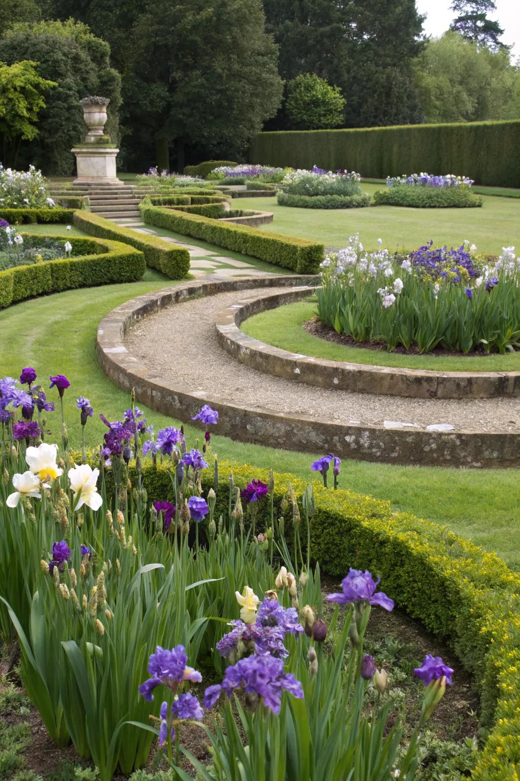 Circular setups of irises crafting focal elements in the garden.