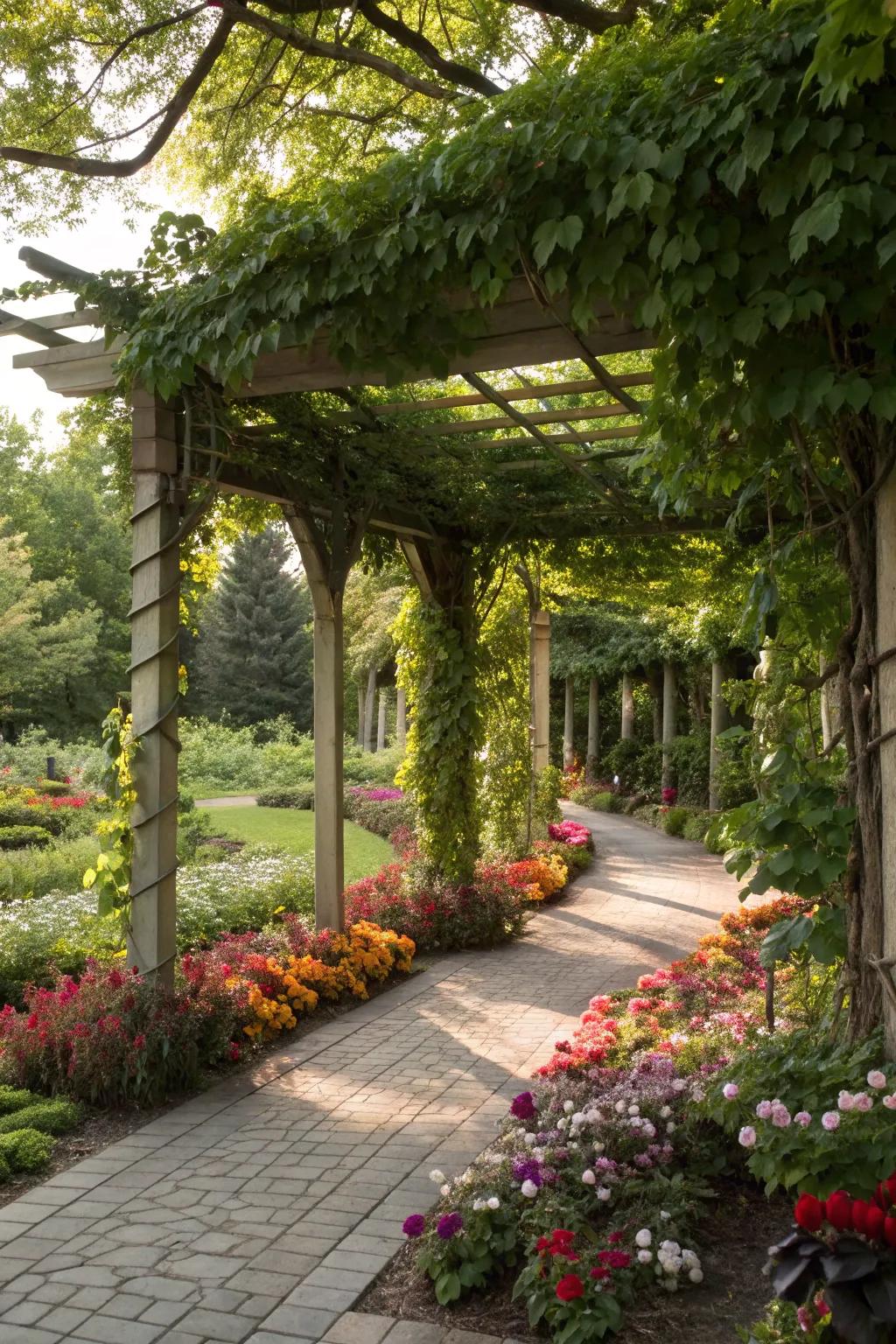 A pergola adorned with climbing vines in a vibrant garden.