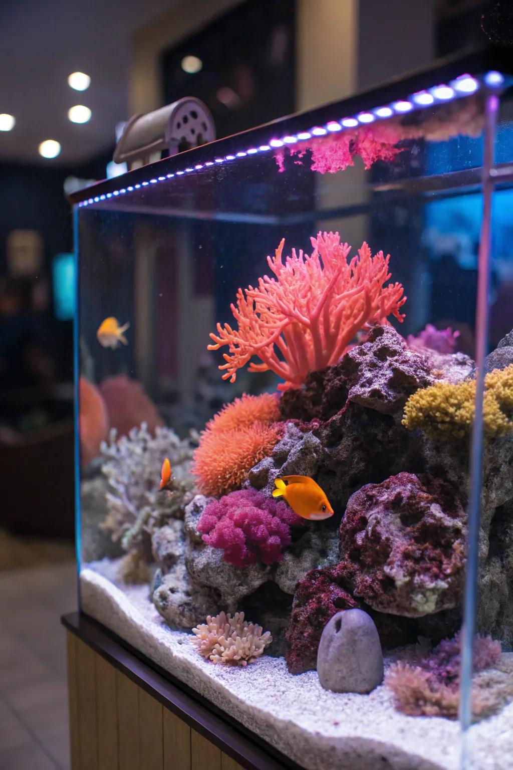 Radiant decorative elements enhance the depth and vibrancy of this aquarium.