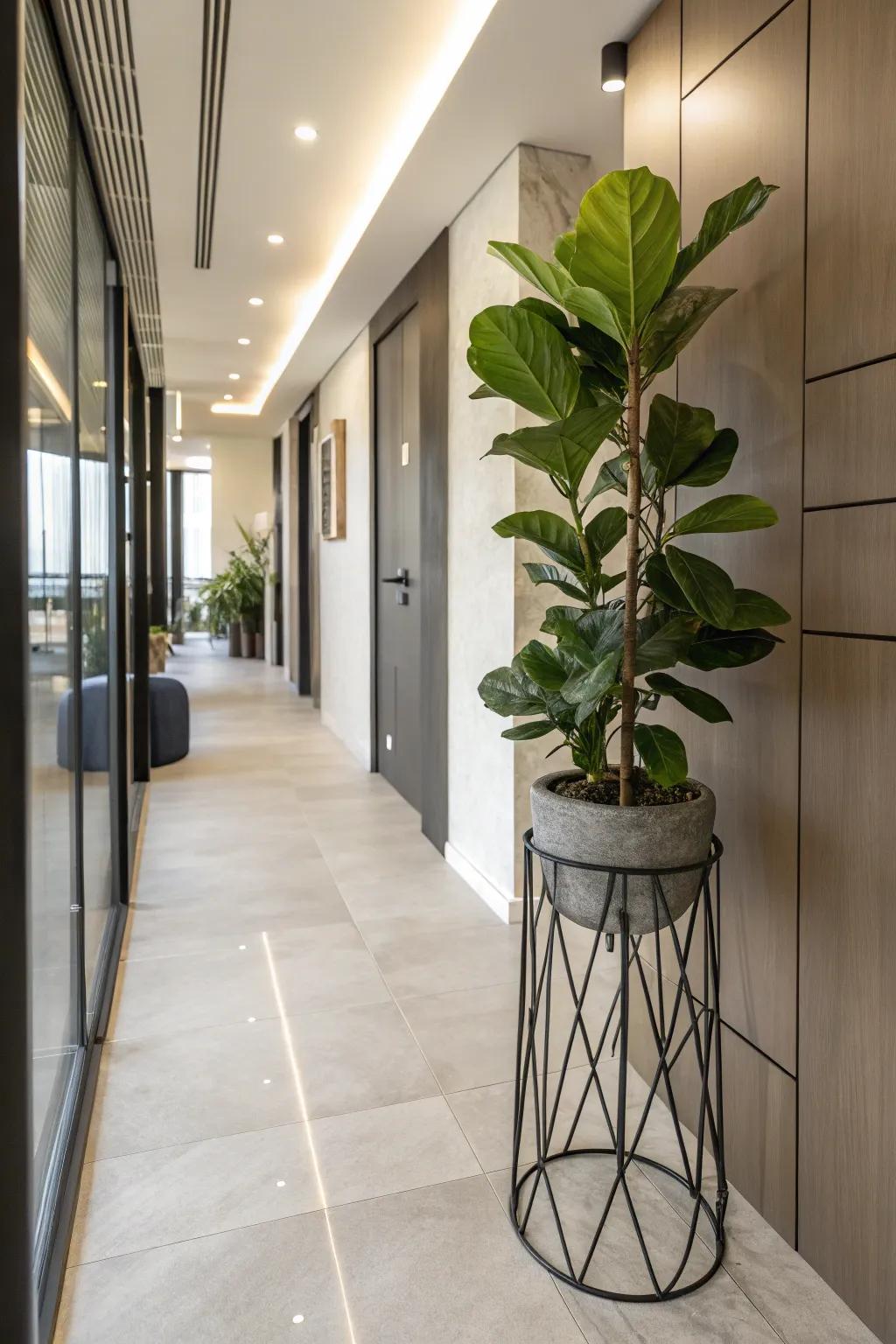 Introduce a modern touch with chic metal plant stands.