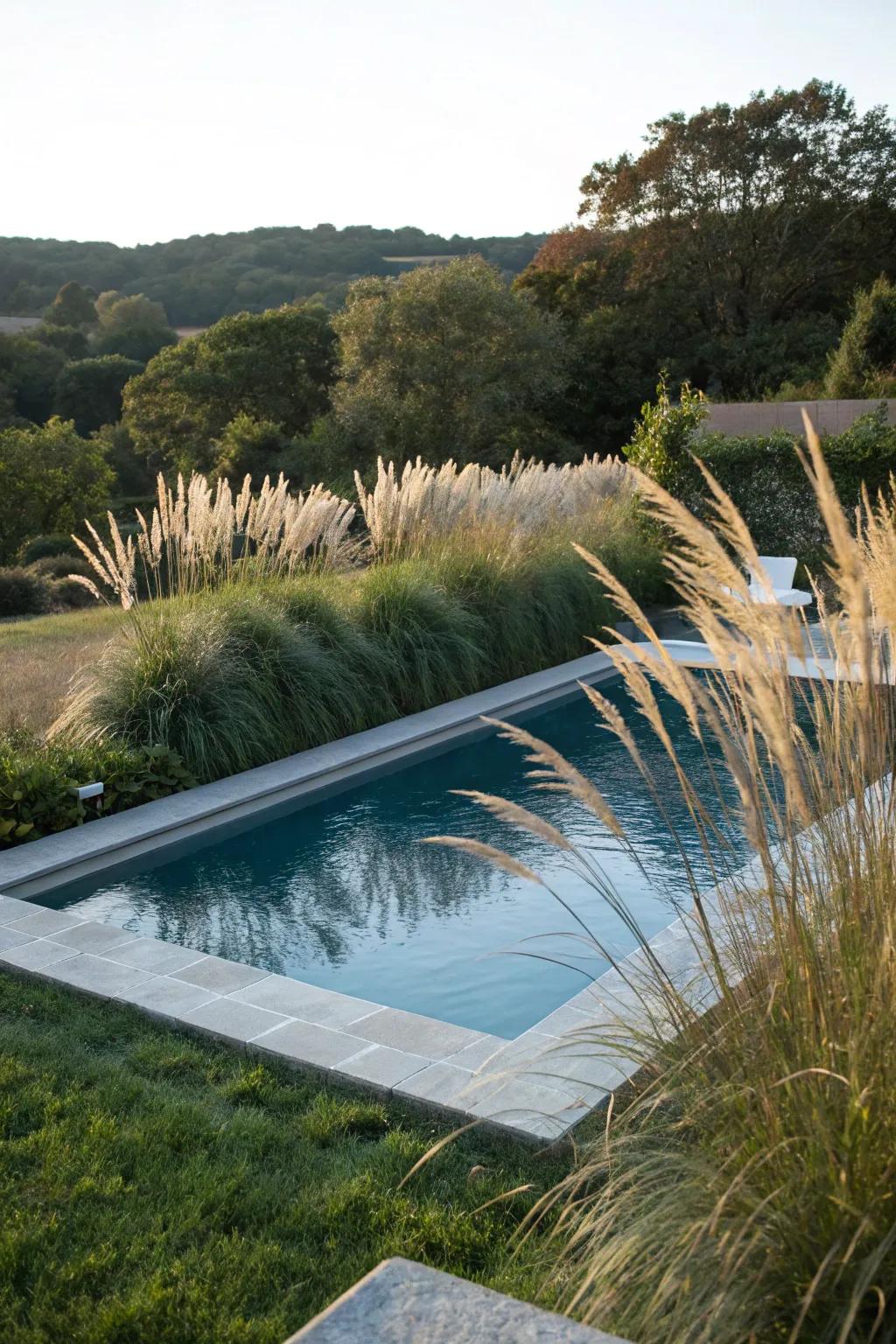 Upright plants provide a full and dynamic border for the pool.