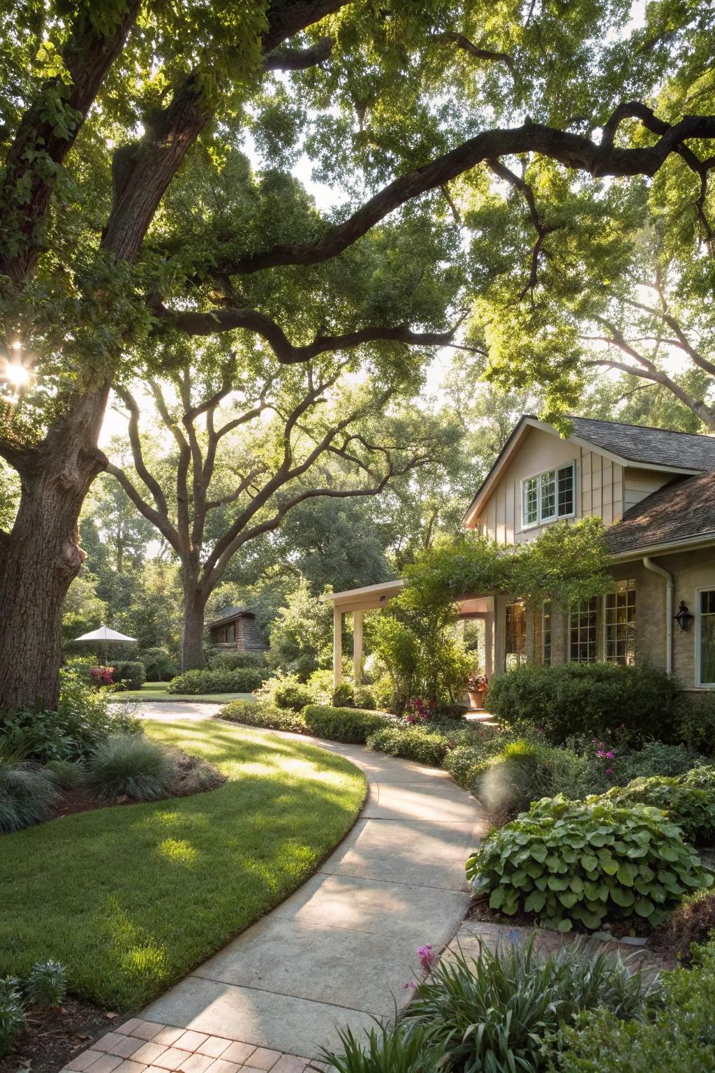 Trees and shrubs infuse your garden with structure, dimension, and soothing shade.