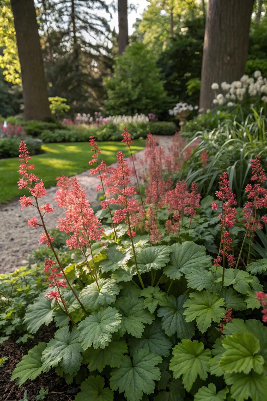 Huecheras bring color and energy to a tranquil, shaded garden retreat.